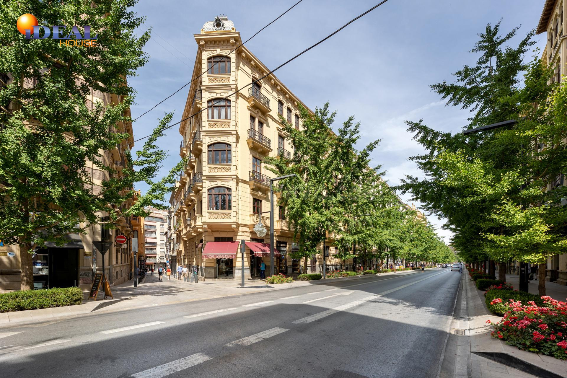 EXCLUSIVA ULTIMA PLANTA CON VISTAS EN GRAN VIA - foto 4