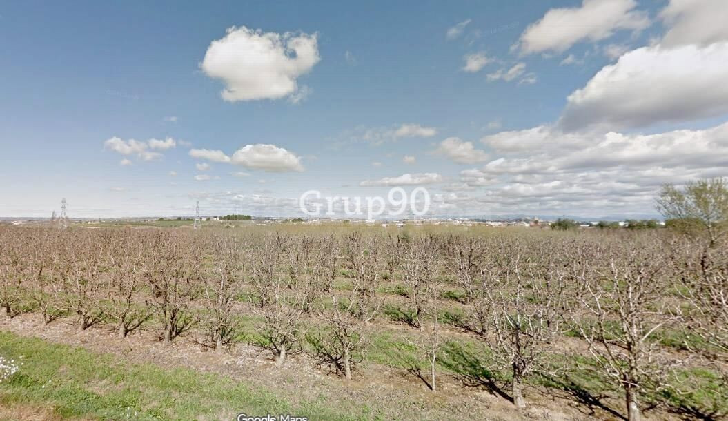 Se venden 3 fincas rústicas en Albatàrrec – 36.860 m2 (posibilidad de venta por separado)