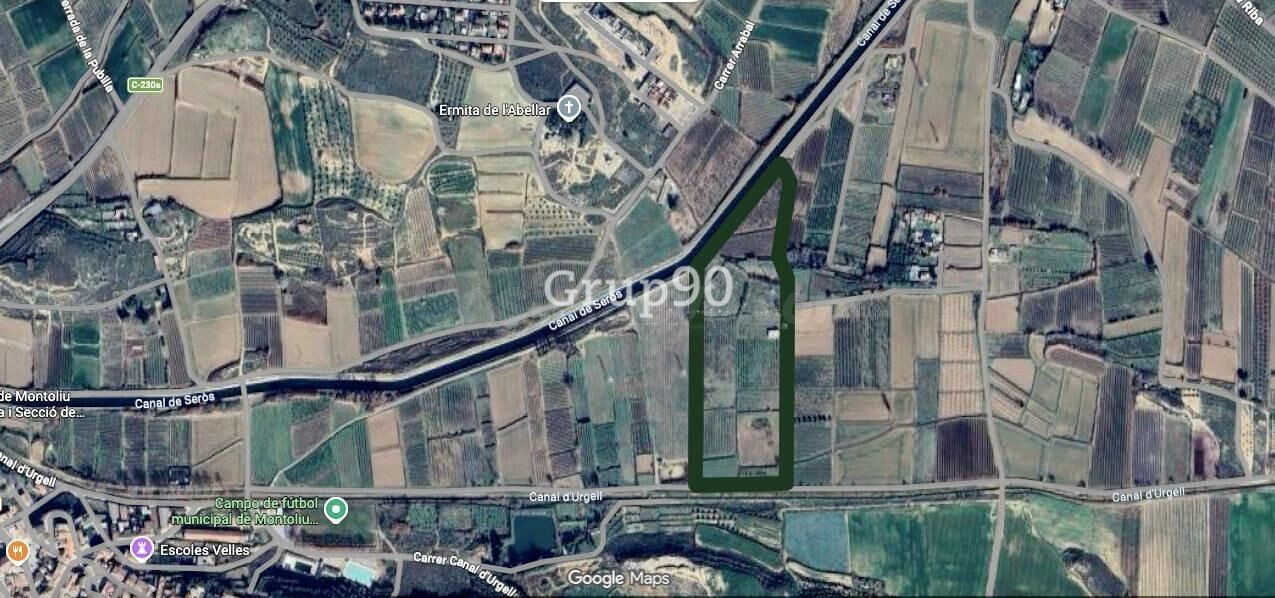 Se venden 3 fincas rústicas en Albatàrrec – 36.860 m2 (posib - foto 2
