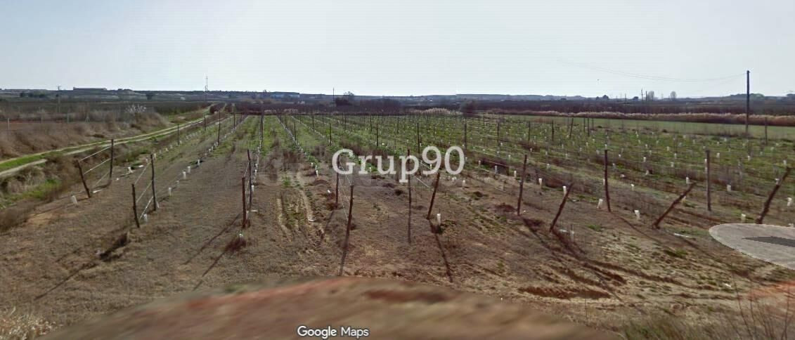 Se venden 3 fincas rústicas en Albatàrrec – 36.860 m2 (posib - foto 4
