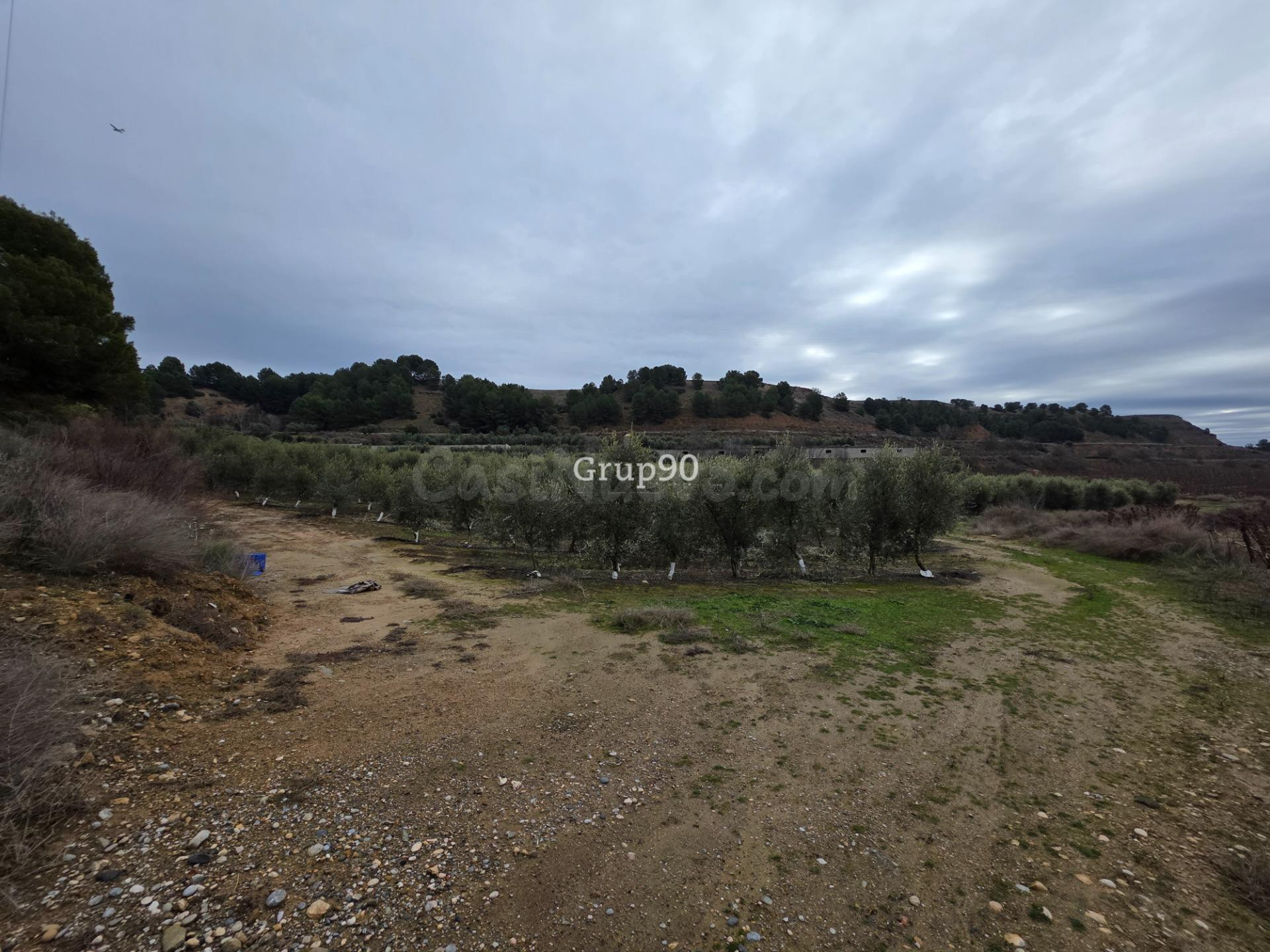 Finca rústica excepcional de 4 hectáreas con vivienda y alma - foto 2