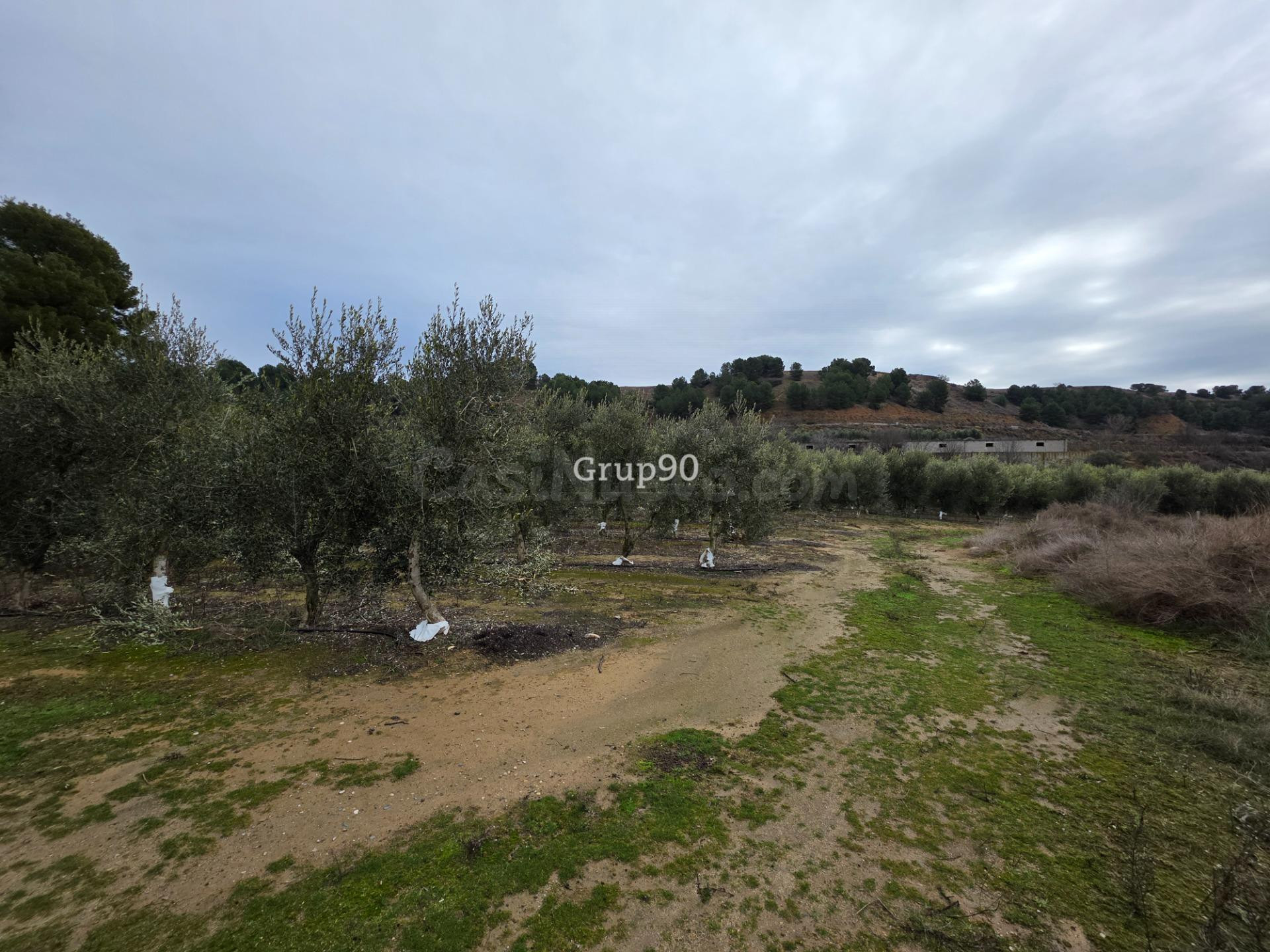 Finca rústica excepcional de 4 hectáreas con vivienda y alma - foto 4