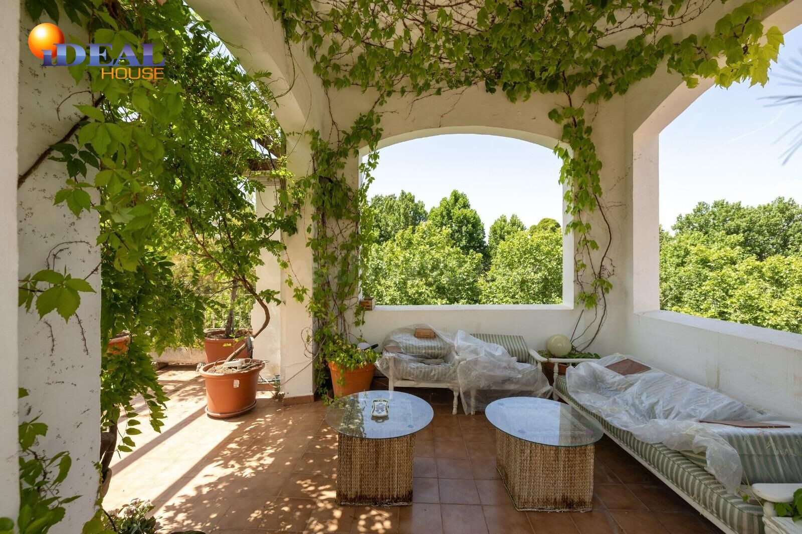 Vivienda exclusiva de planta completa con cochera y espectac - foto 4