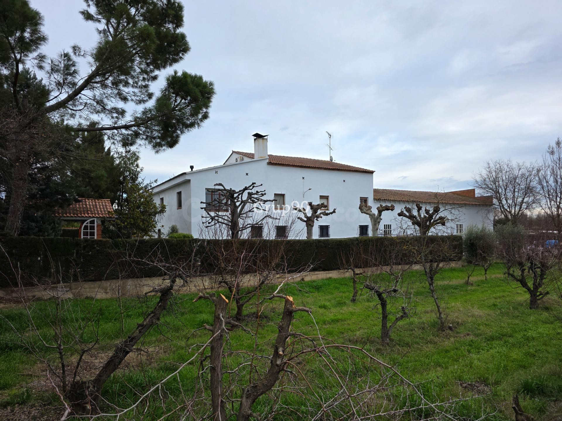 ¡Oportunidad Única! Casa con 3 Almacenes y 7.000 m2 de Terre - foto 2