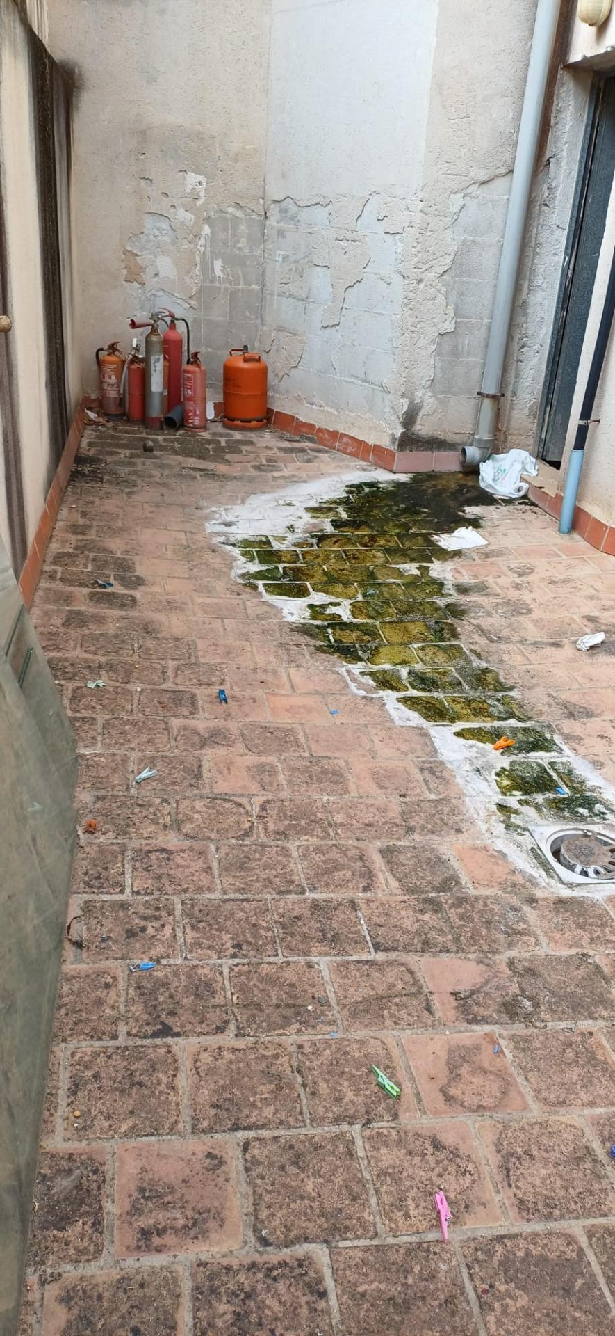 LOCAL COMERCIAL CON TERRAZA EN SON OLIVA. - foto 2