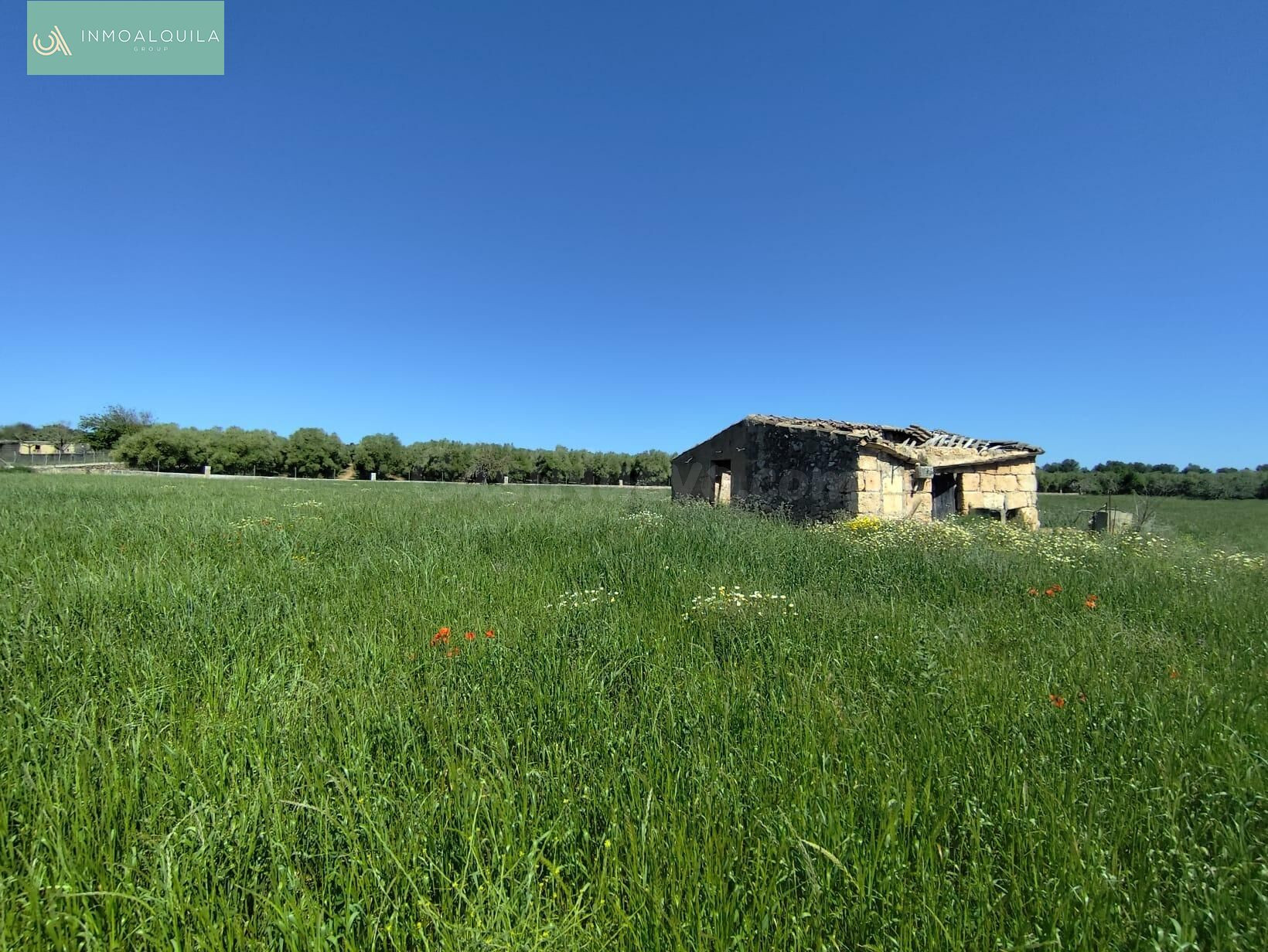 Finca en Venta Ariany