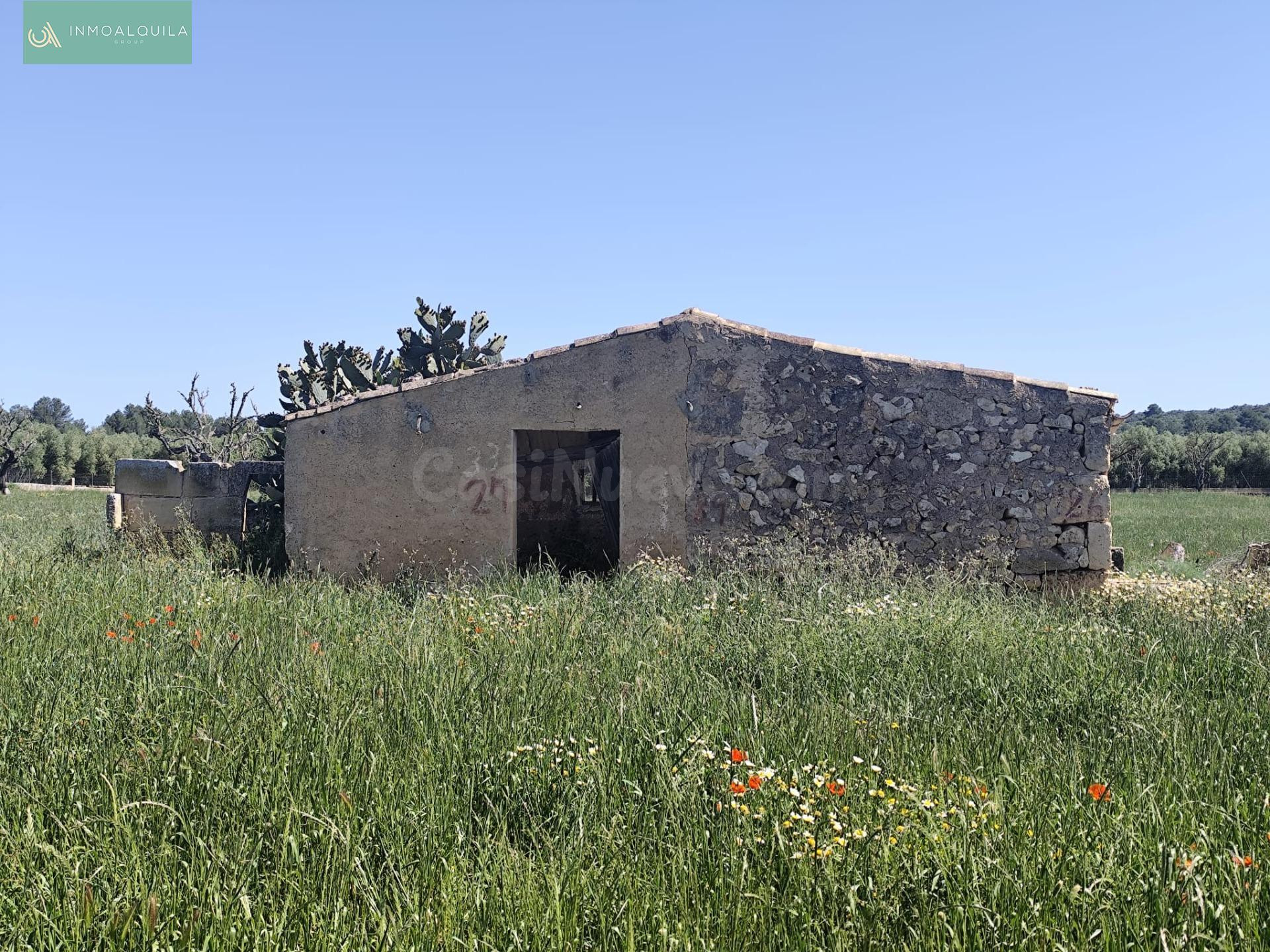 Finca en Venta Ariany - foto 2