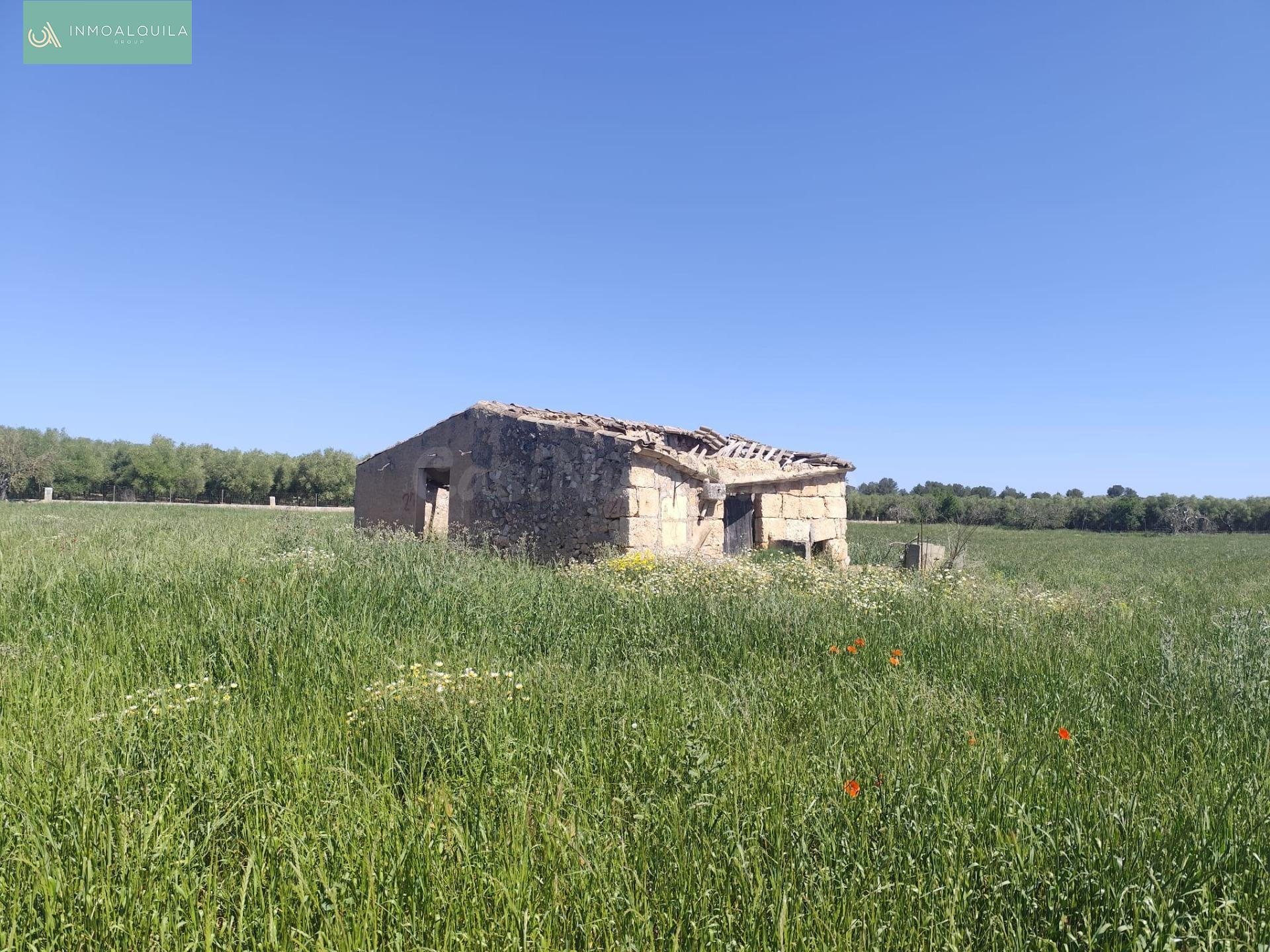 Finca en Venta Ariany - foto 4