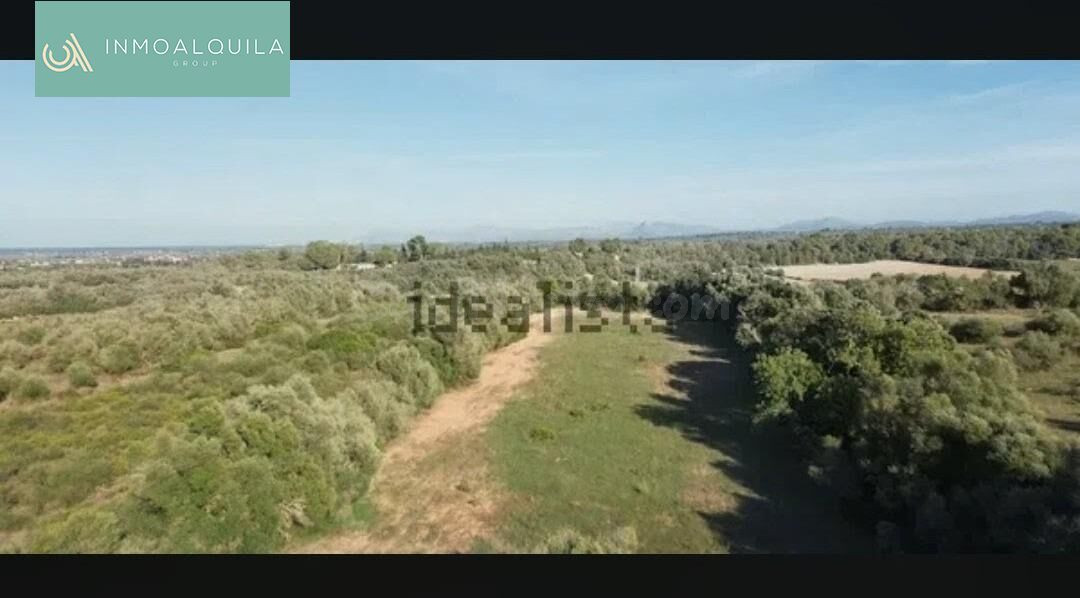 TERRENO RUSTICO EDIFICABLE - foto 2