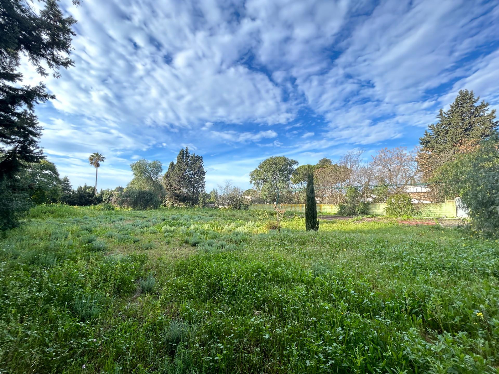 Terreno urbano en venta - Ciudad Aljarafe