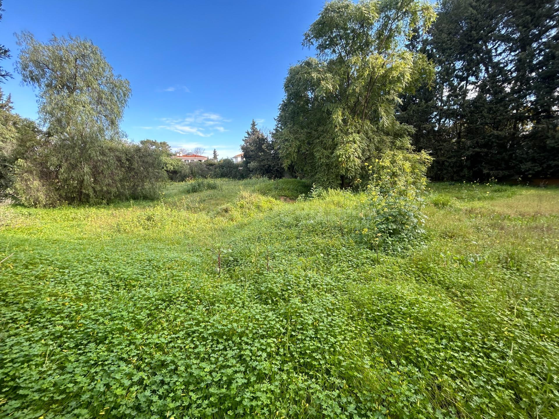 Terreno urbano en venta - Ciudad Aljarafe - foto 2