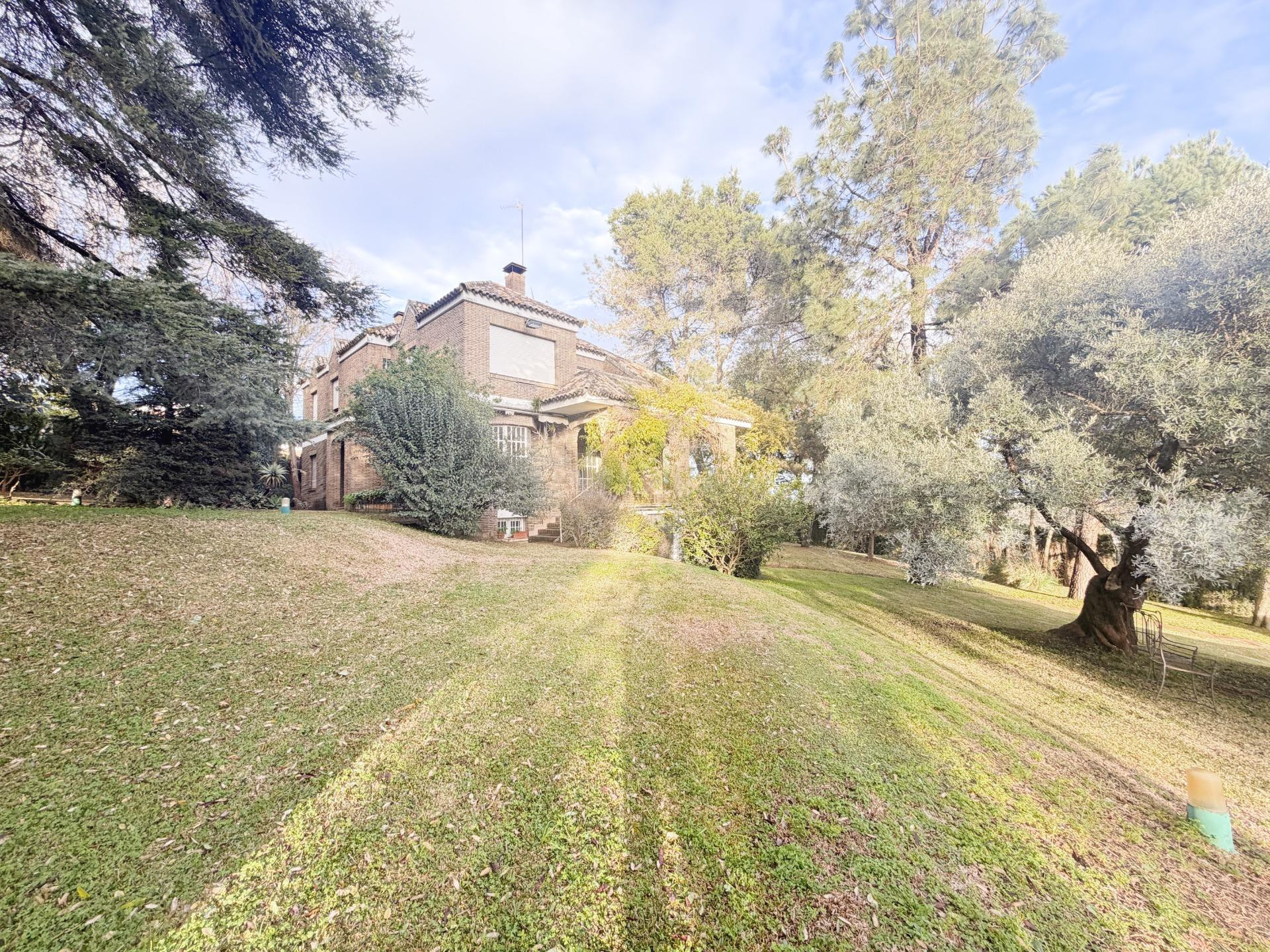 Vive rodeado de espacio: chalet con gran parcela y múltiples - foto 3