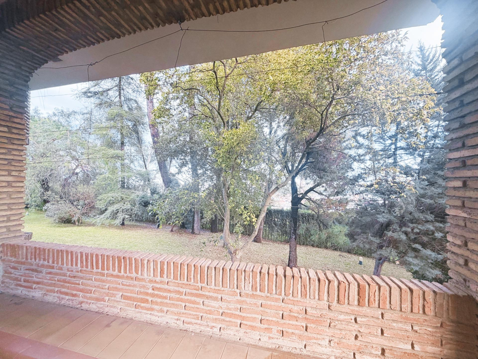 Vive rodeado de espacio: chalet con gran parcela y múltiples - foto 5