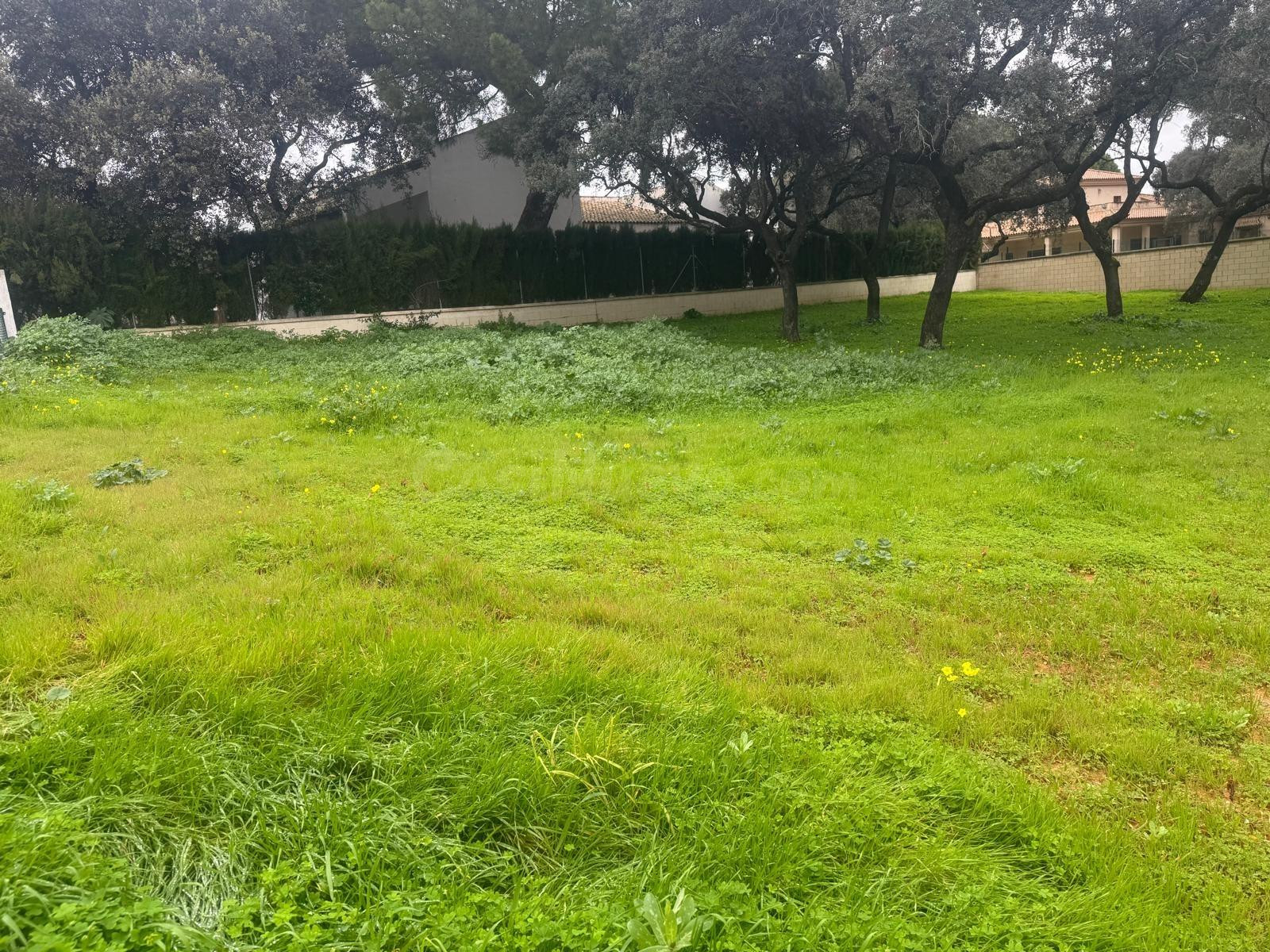 MARAVILLOSA PARCELA EN LA JULIANA - foto 2