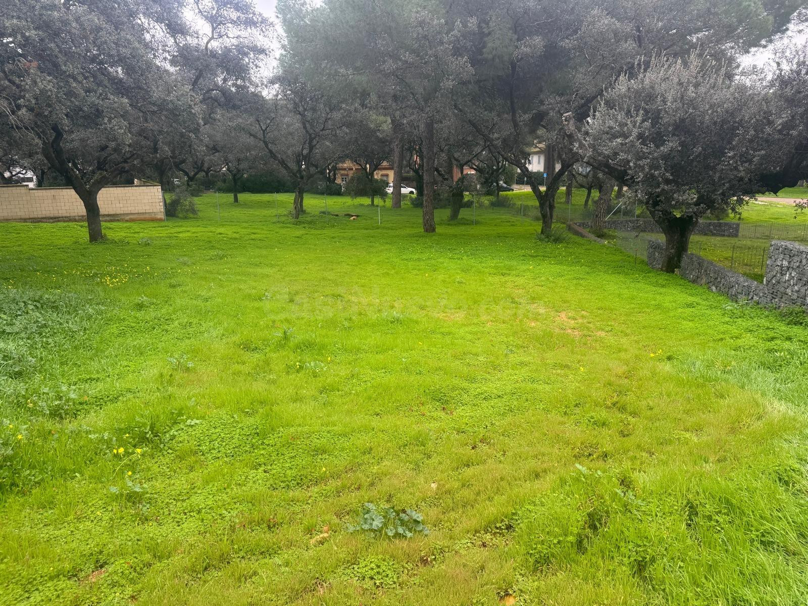 MARAVILLOSA PARCELA EN LA JULIANA - foto 3