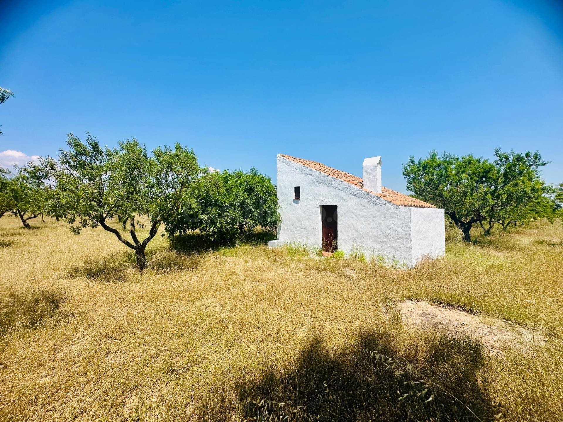 Ídilica casa de labor en finca de Almendros