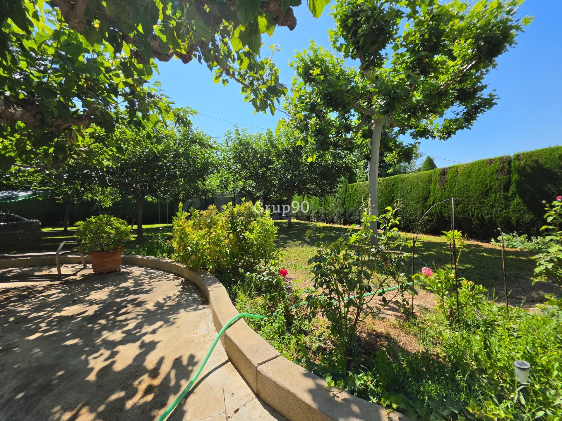 GRAN FINCA CON XALET, NAVE Y AMPLIA PARCELA – MÚLTIPLES POSI - foto 3