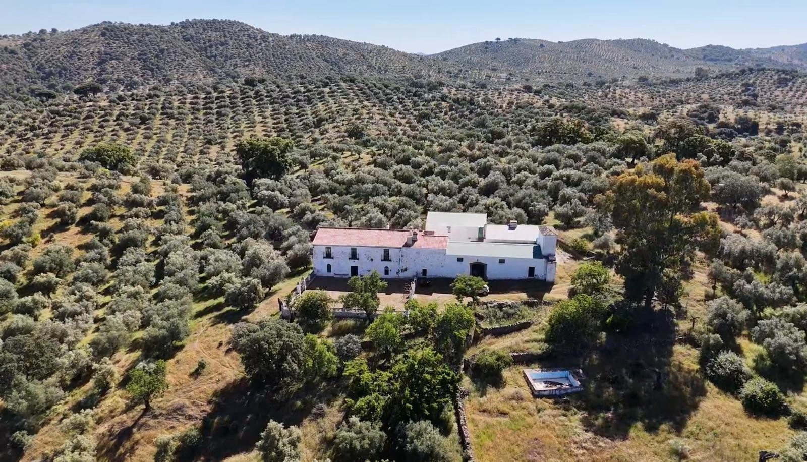 Estupenda finca en Cazalla de la Sierra - foto 2