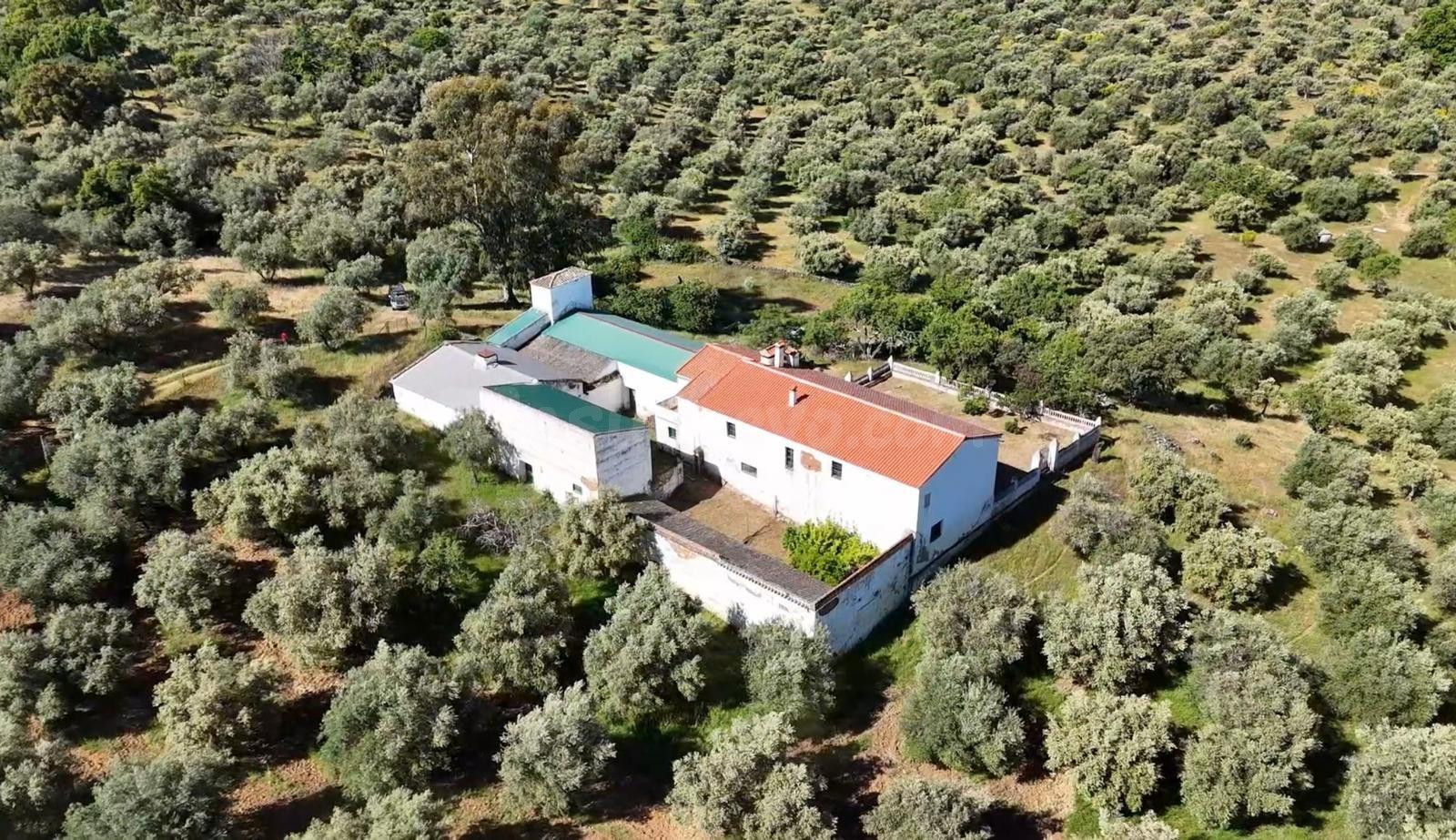 Estupenda finca en Cazalla de la Sierra - foto 3