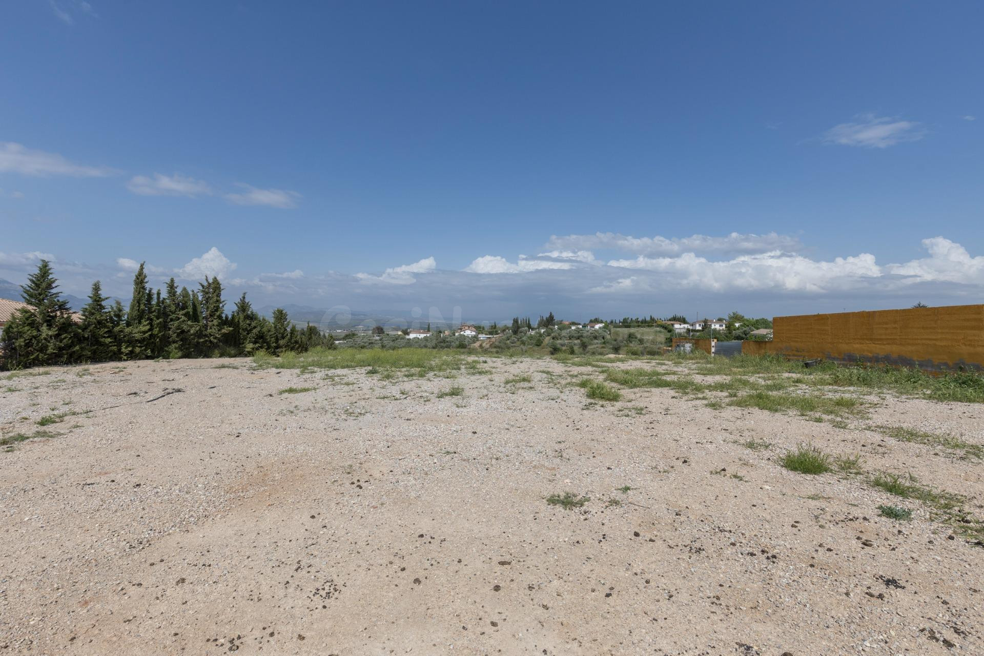 Terreno de Regadío en Venta en Moraleda de Zafayona – Ideal  - foto 3