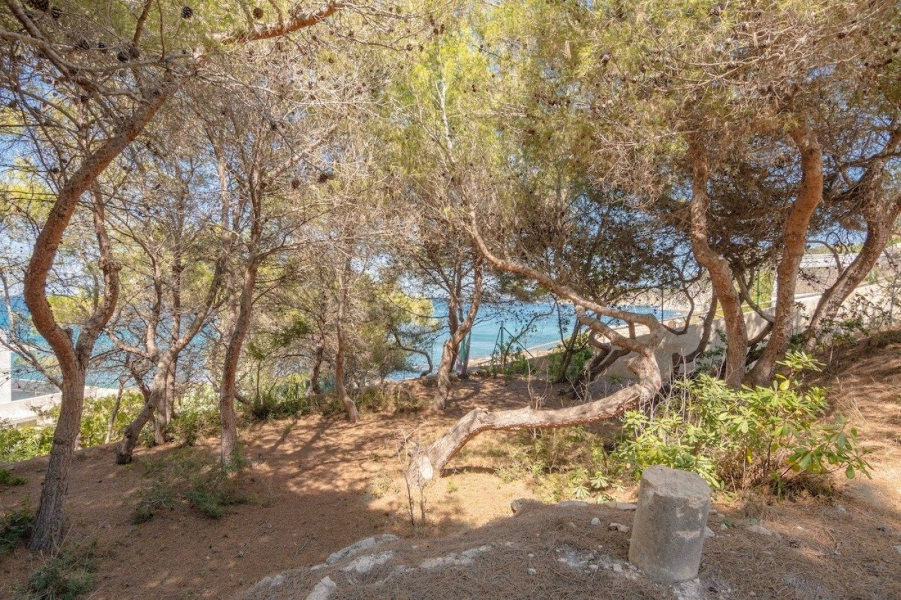HOTEL BOUTIQUE FRENTE AL MAR EN JÁVEA · PROYECTO CON LICENCI - foto 5