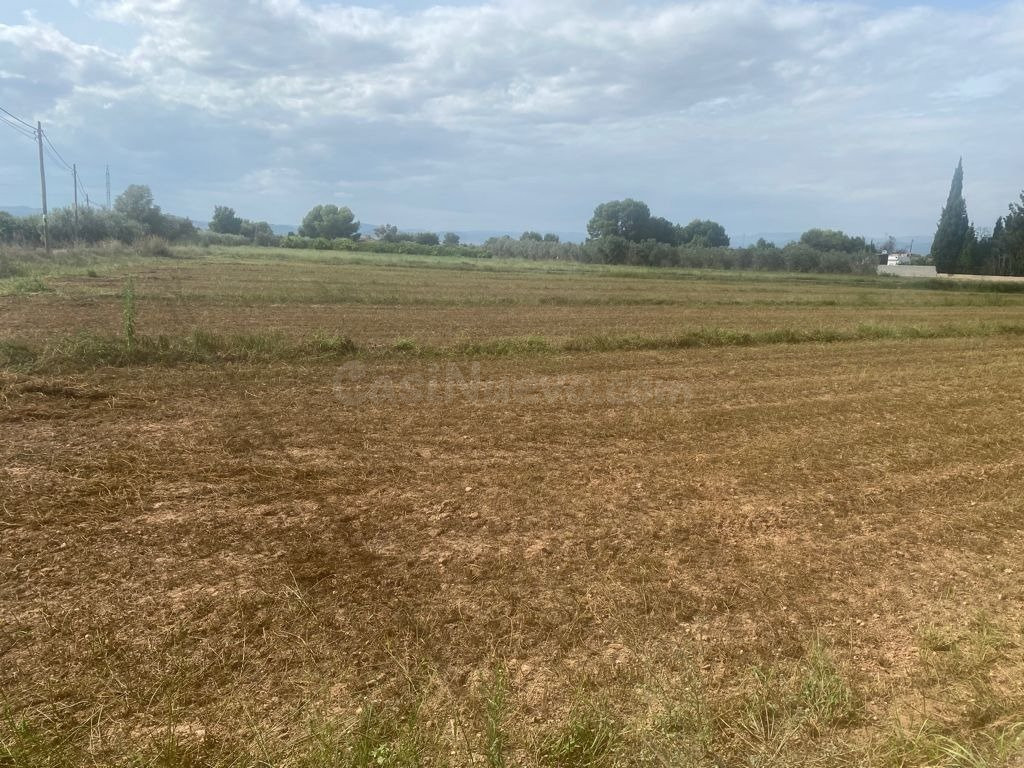 CAMPO DE TIERRA CON MUY BUENA comunicación - foto 5