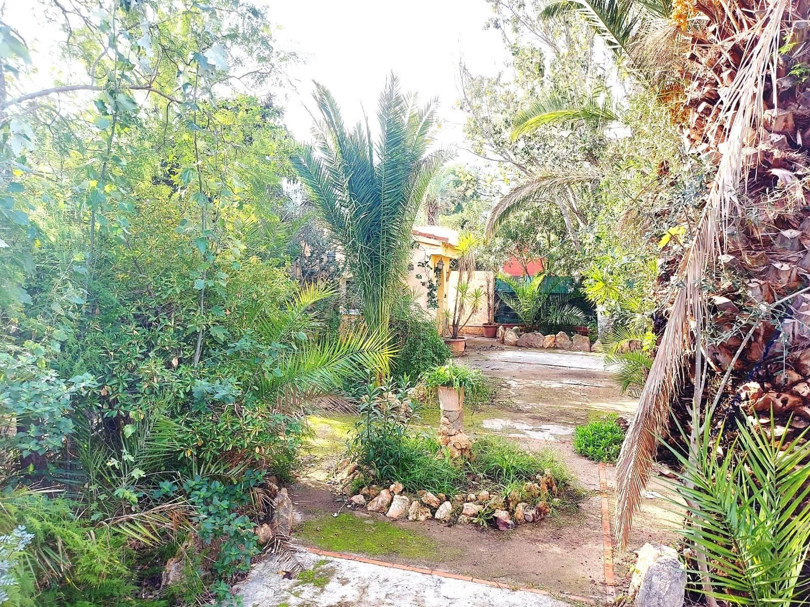 CHALET CON AMPLIA PARCELA A 3KM DE LA POBLACION Y DE LA CV 3 - foto 5