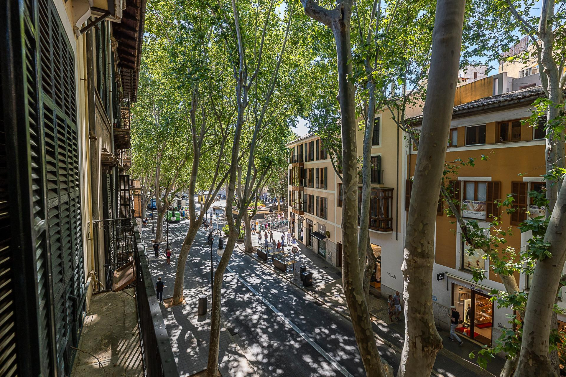 Exclusivo dúplex en alquiler en el corazón de Palma - foto 3
