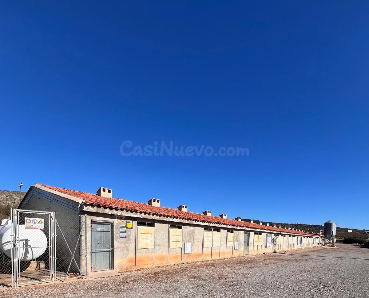 NAVE INDUSTRIAL EN ALCUBLAS, MUY CERCANA A LA POBLACION