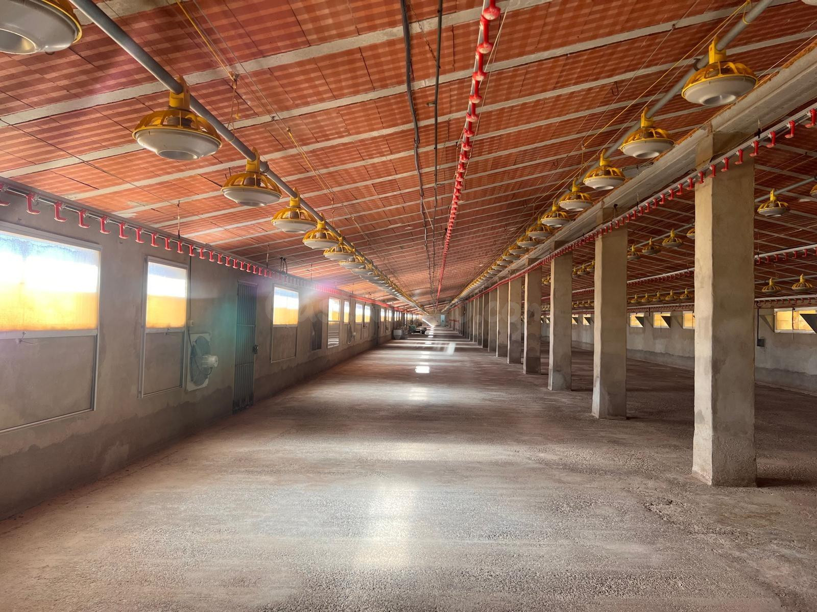 NAVE INDUSTRIAL EN ALCUBLAS, MUY CERCANA A LA POBLACION - foto 2
