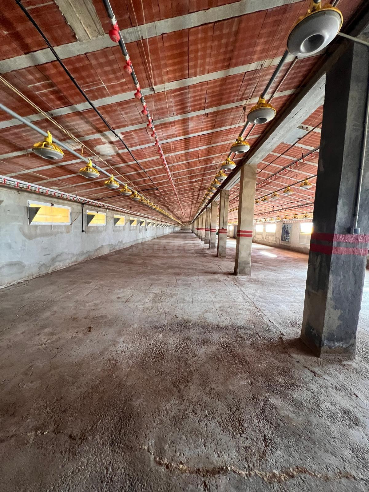 NAVE INDUSTRIAL EN ALCUBLAS, MUY CERCANA A LA POBLACION - foto 3