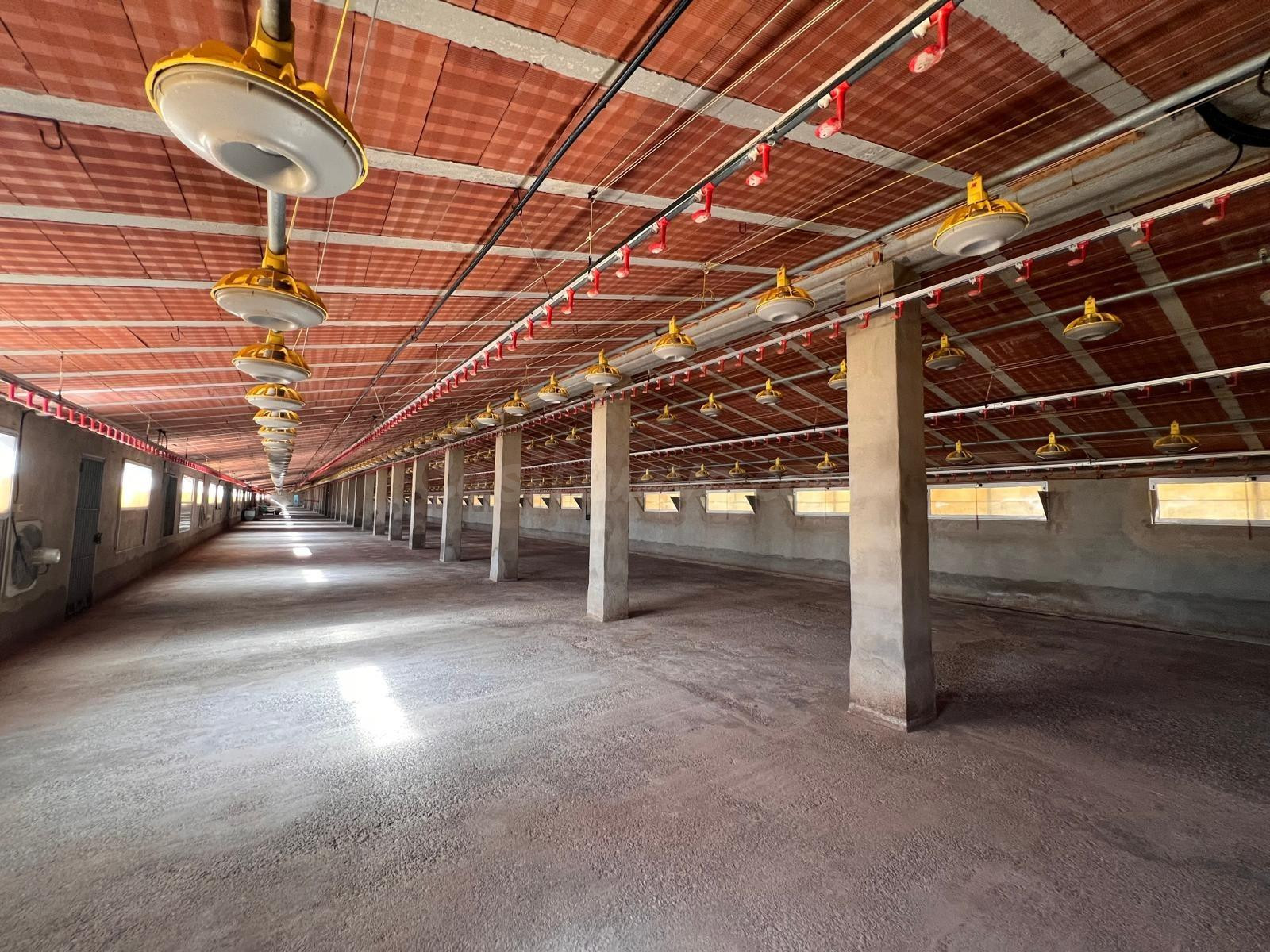 NAVE INDUSTRIAL EN ALCUBLAS, MUY CERCANA A LA POBLACION - foto 4