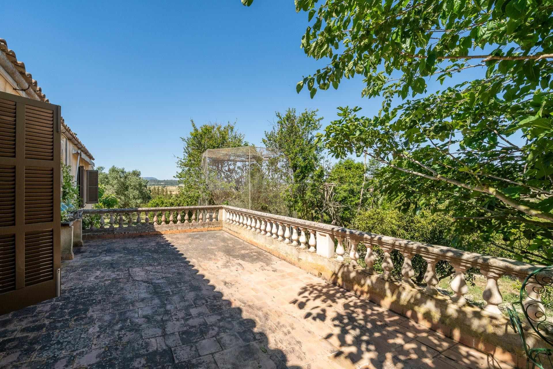 Finca rústica con vistas panorámicas y naranjos en producció - foto 4