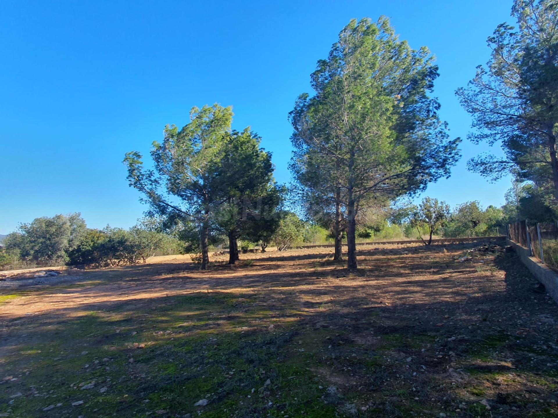 PARCELA EN URBANIZACION EL CERRAO