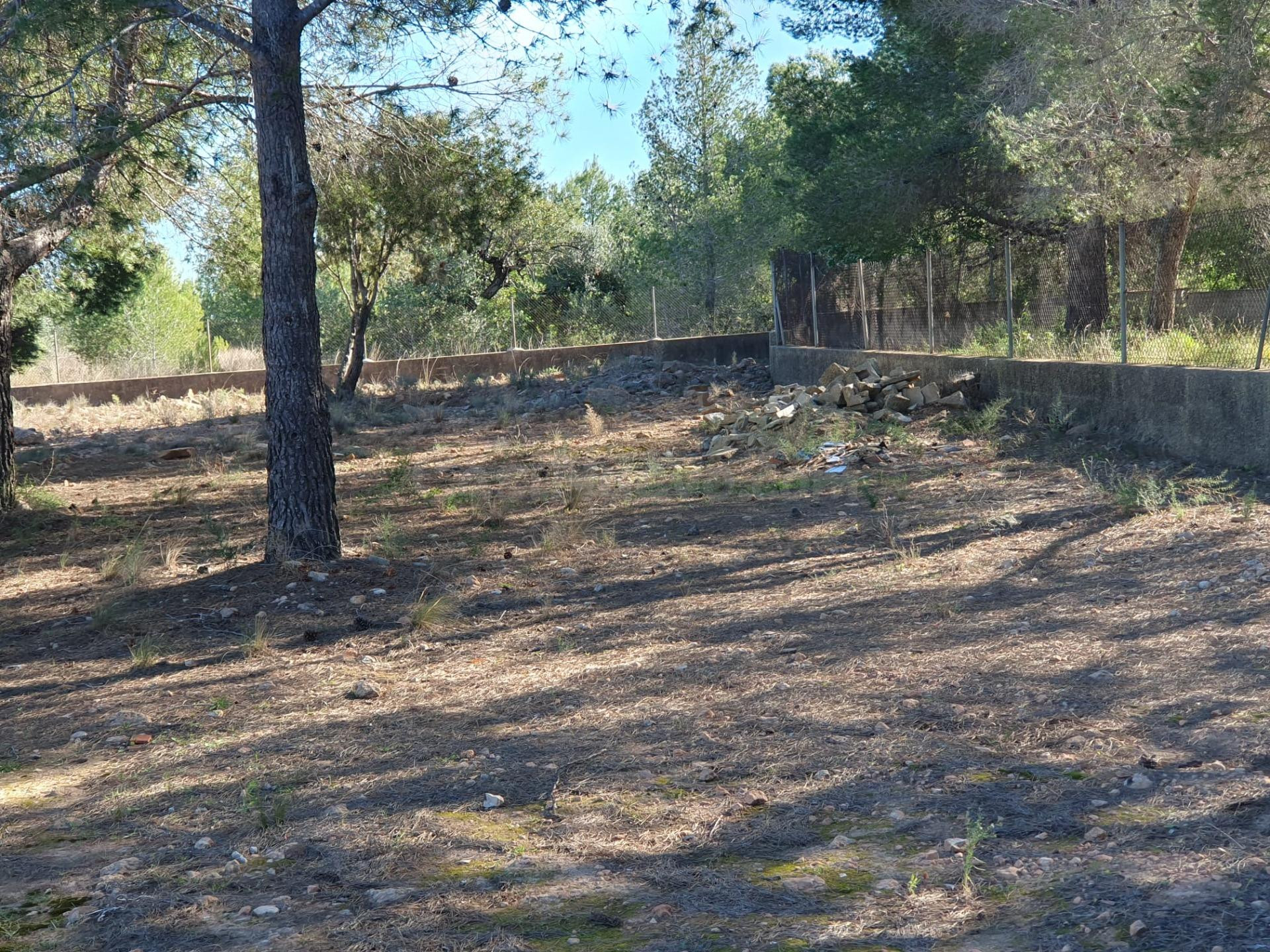 PARCELA EN URBANIZACION EL CERRAO - foto 2