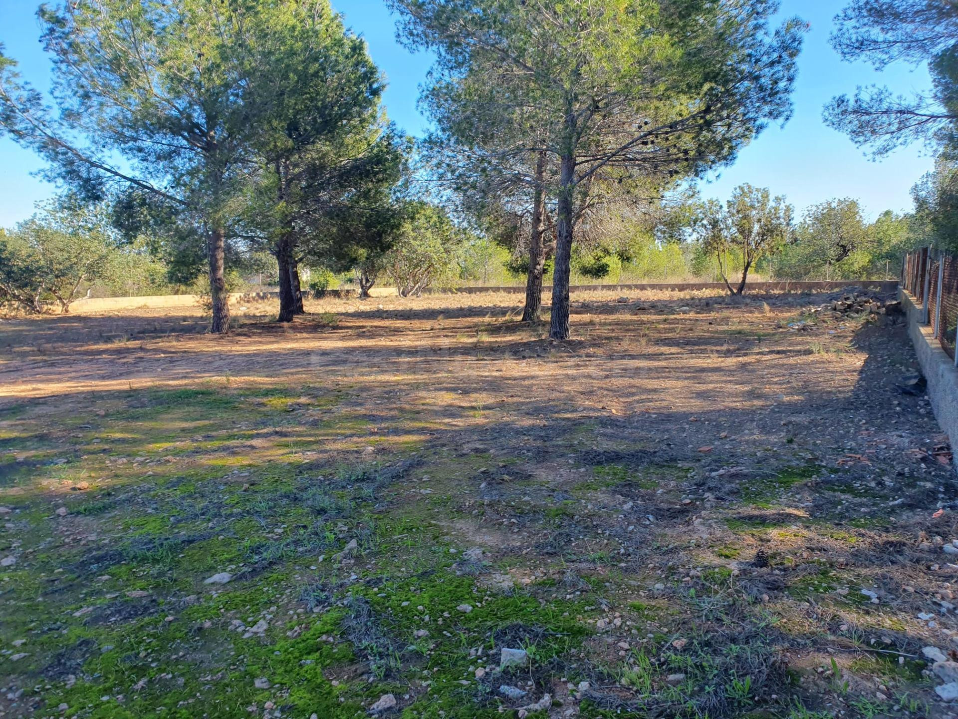 PARCELA EN URBANIZACION EL CERRAO - foto 3