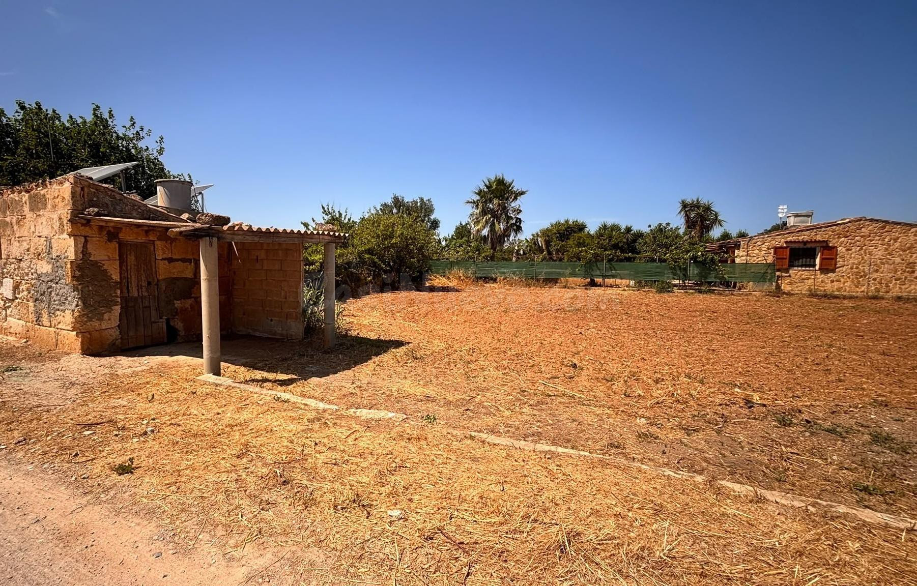 Parcela rústica en Son Serra (Muro) con pozo propio - foto 2