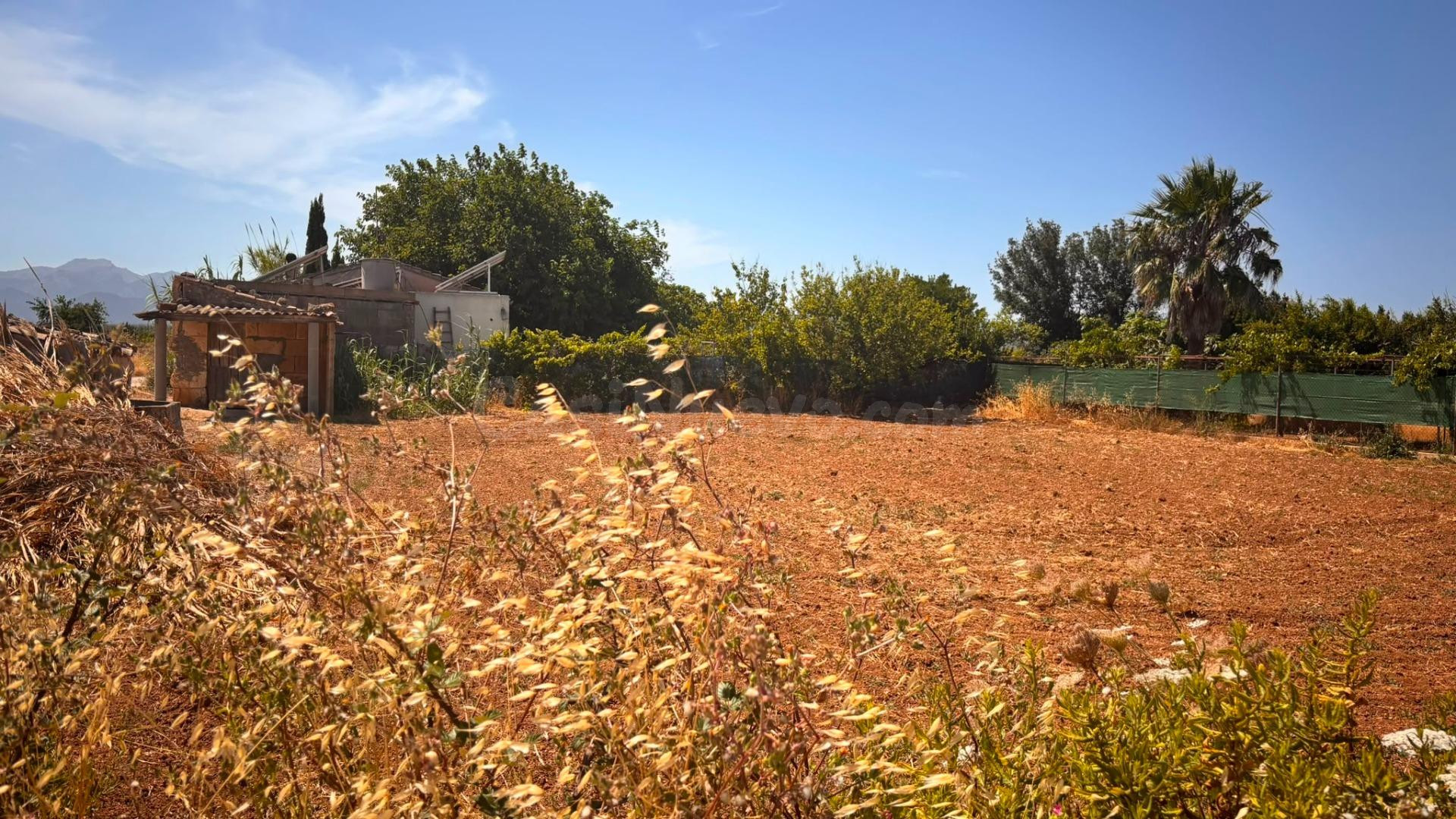 Parcela rústica en Son Serra (Muro) con pozo propio - foto 5