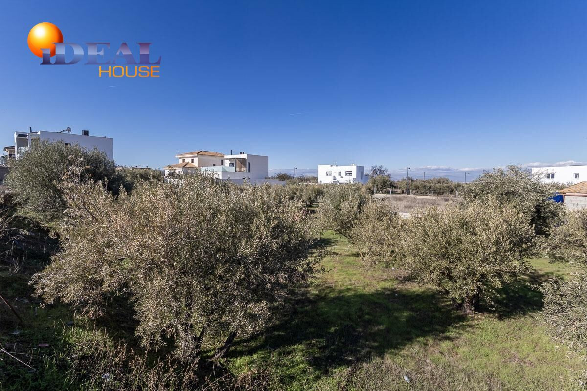 SOLAR CON USO RESIDENCIAL EN VENTA EN LA ZUBIA - foto 2