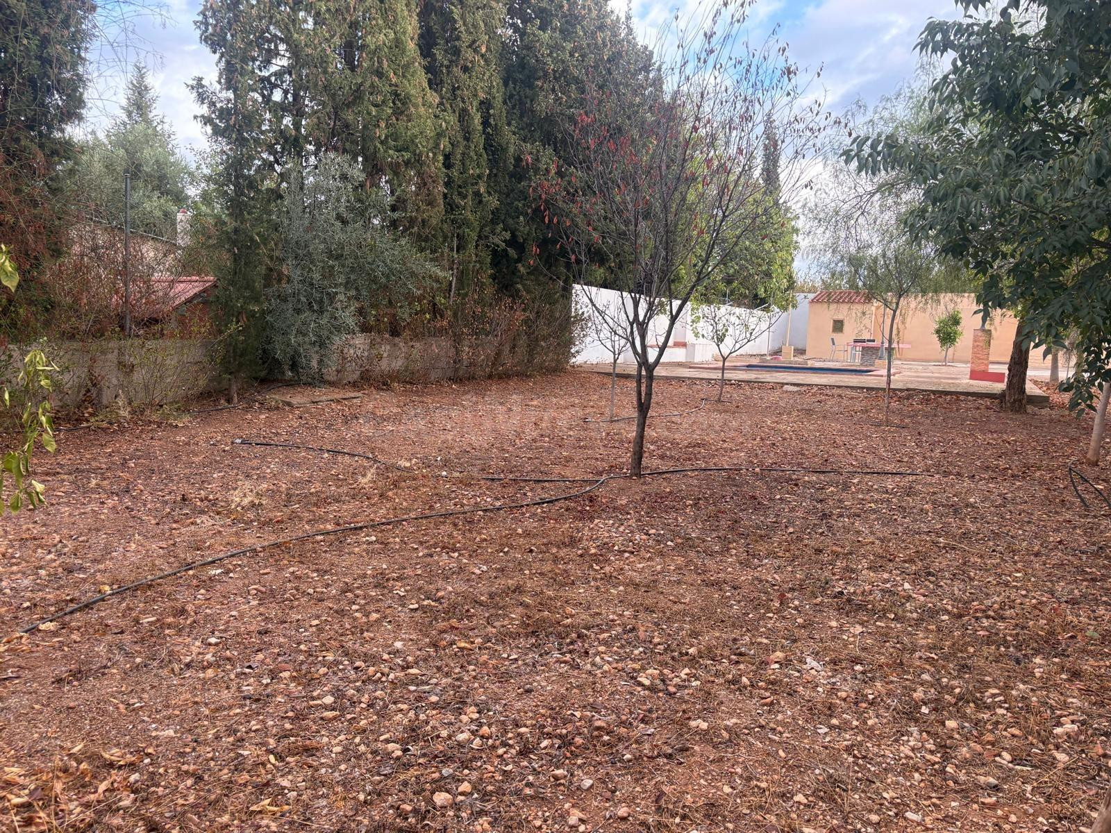 CHALET REFORMADO CON PISCINA Y AMPLIA PARCELA - foto 4