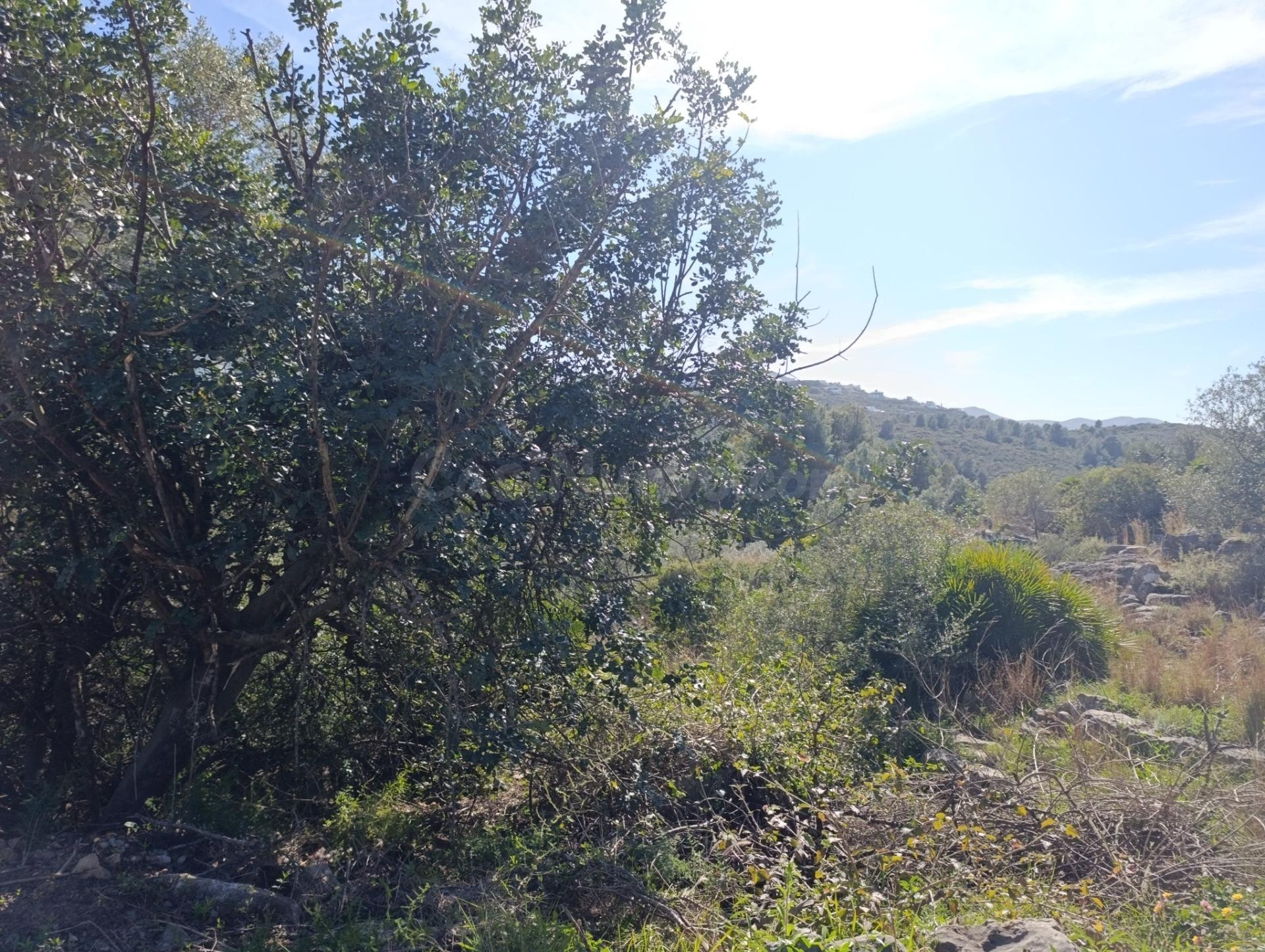 Gran parcela en venta en Monte Pego: inversión, espacio y pr