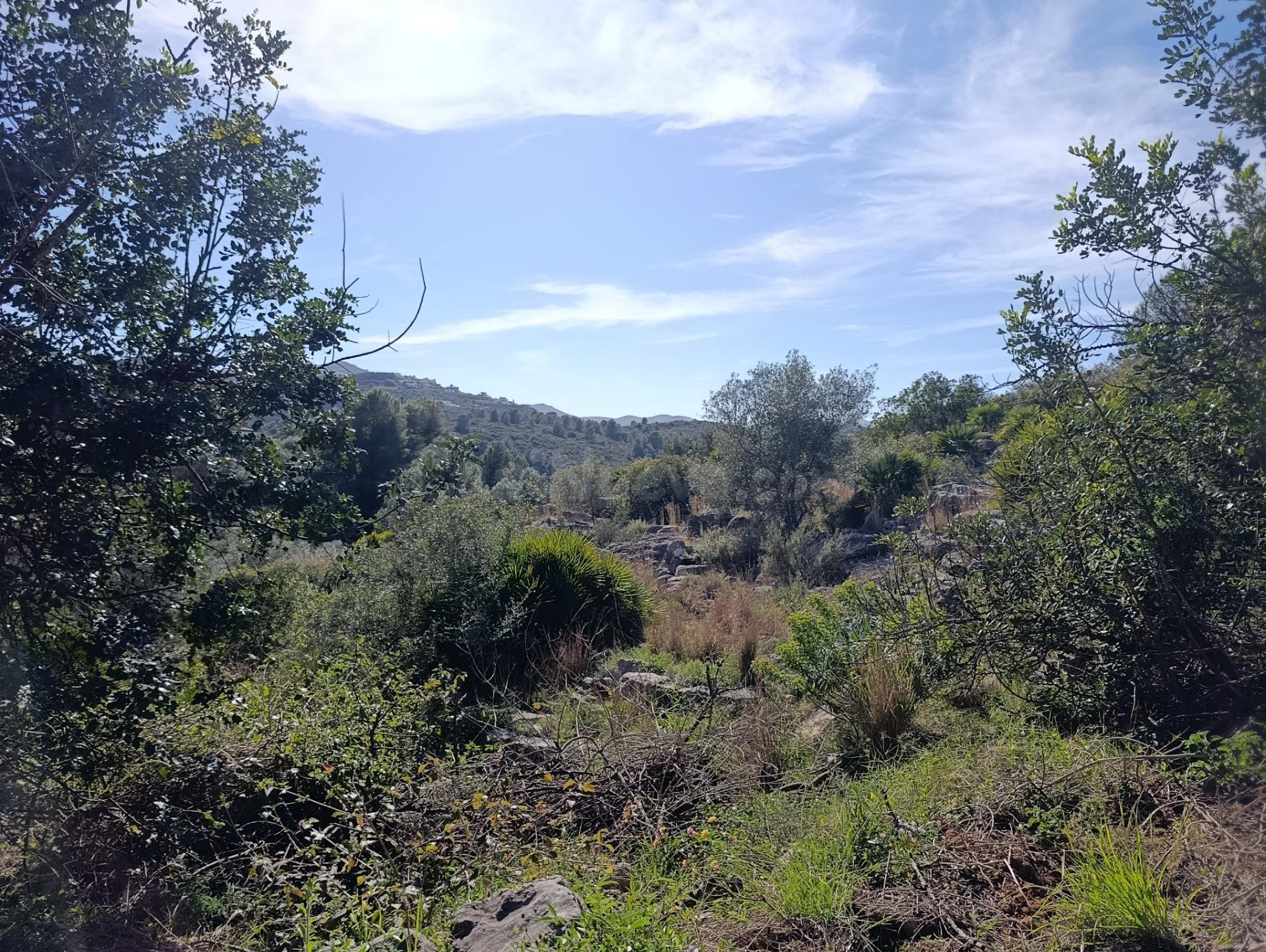 Gran parcela en venta en Monte Pego: inversión, espacio y pr - foto 2