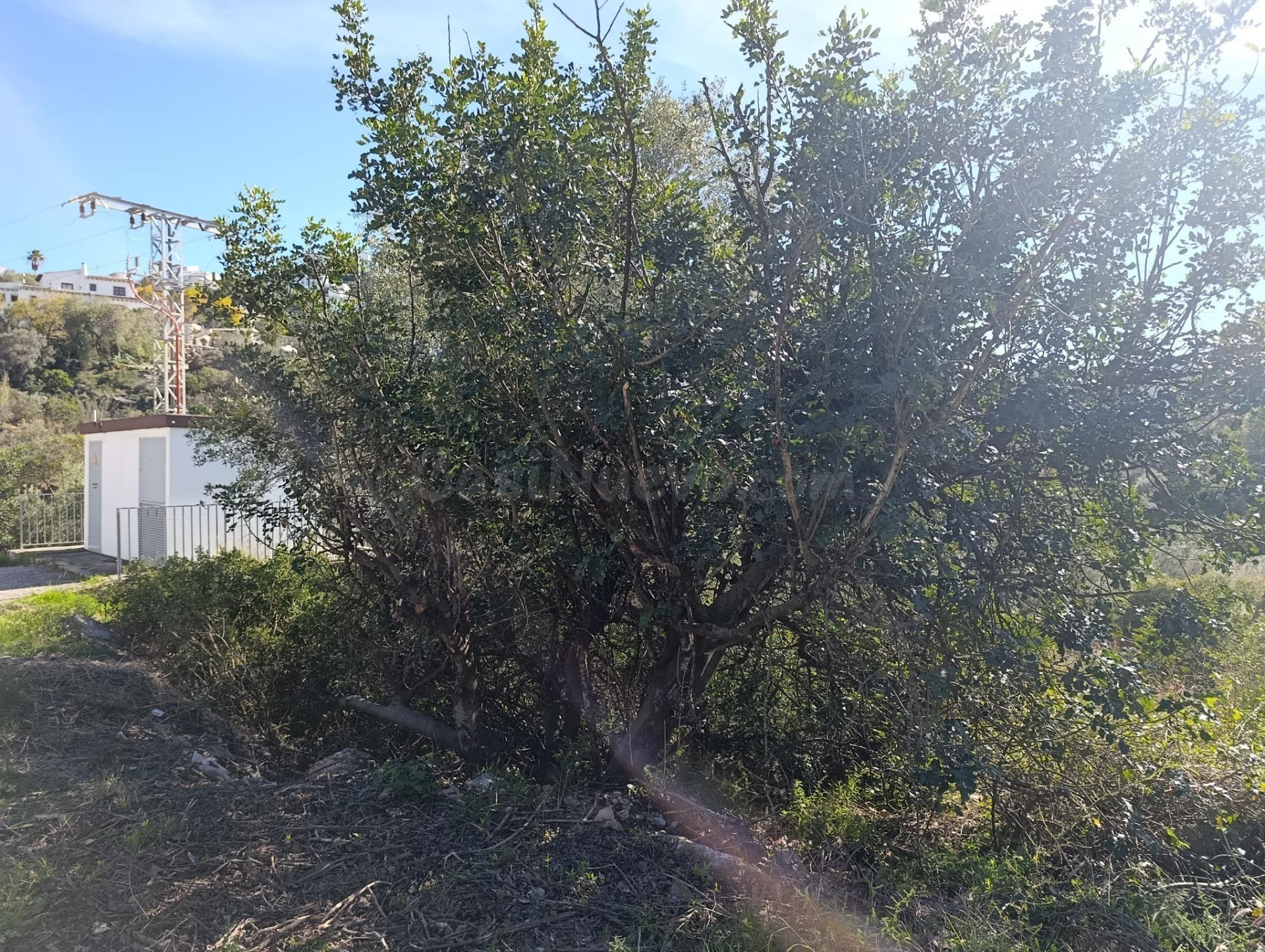 Gran parcela en venta en Monte Pego: inversión, espacio y pr - foto 3