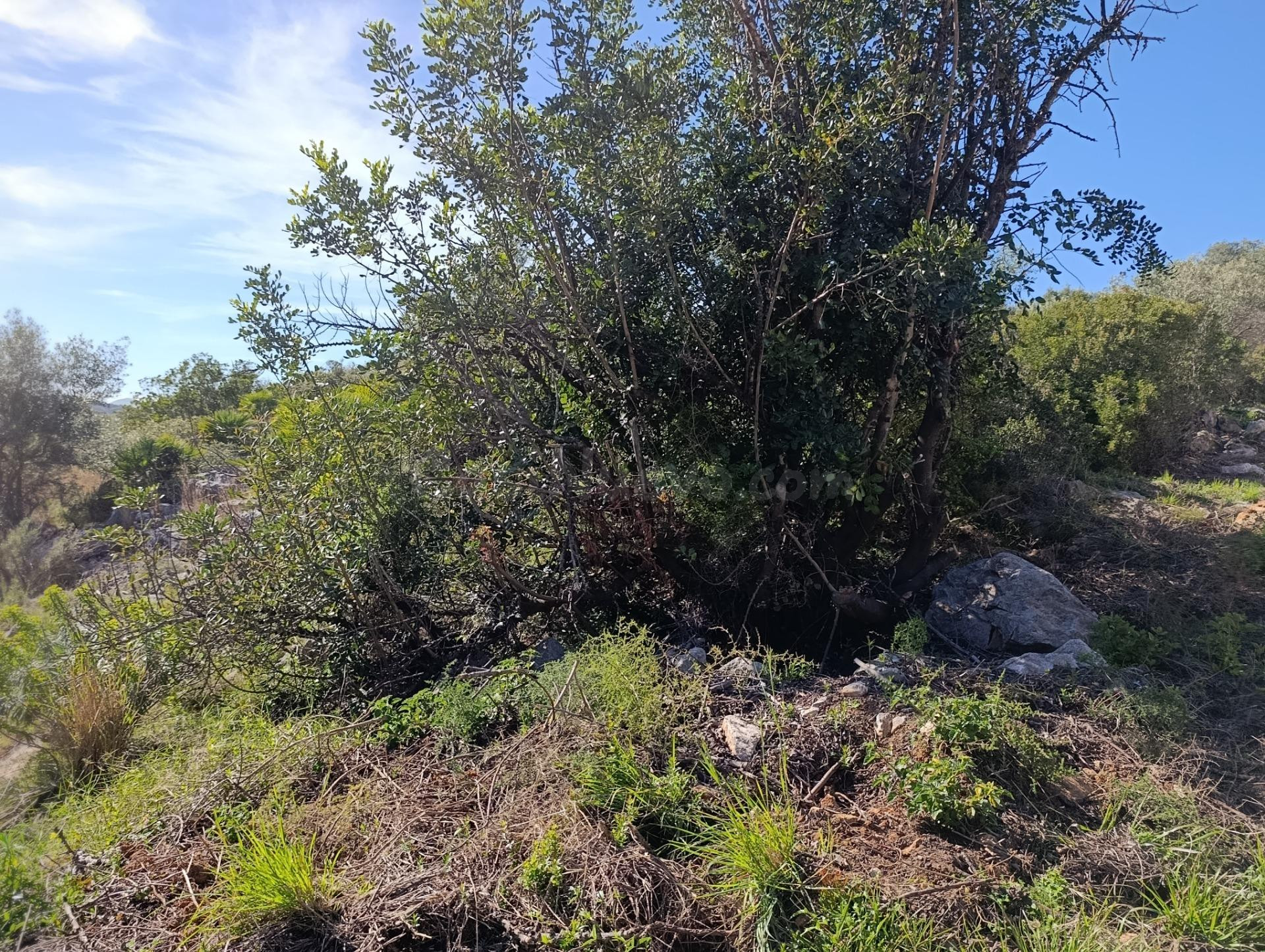 Gran parcela en venta en Monte Pego: inversión, espacio y pr - foto 4