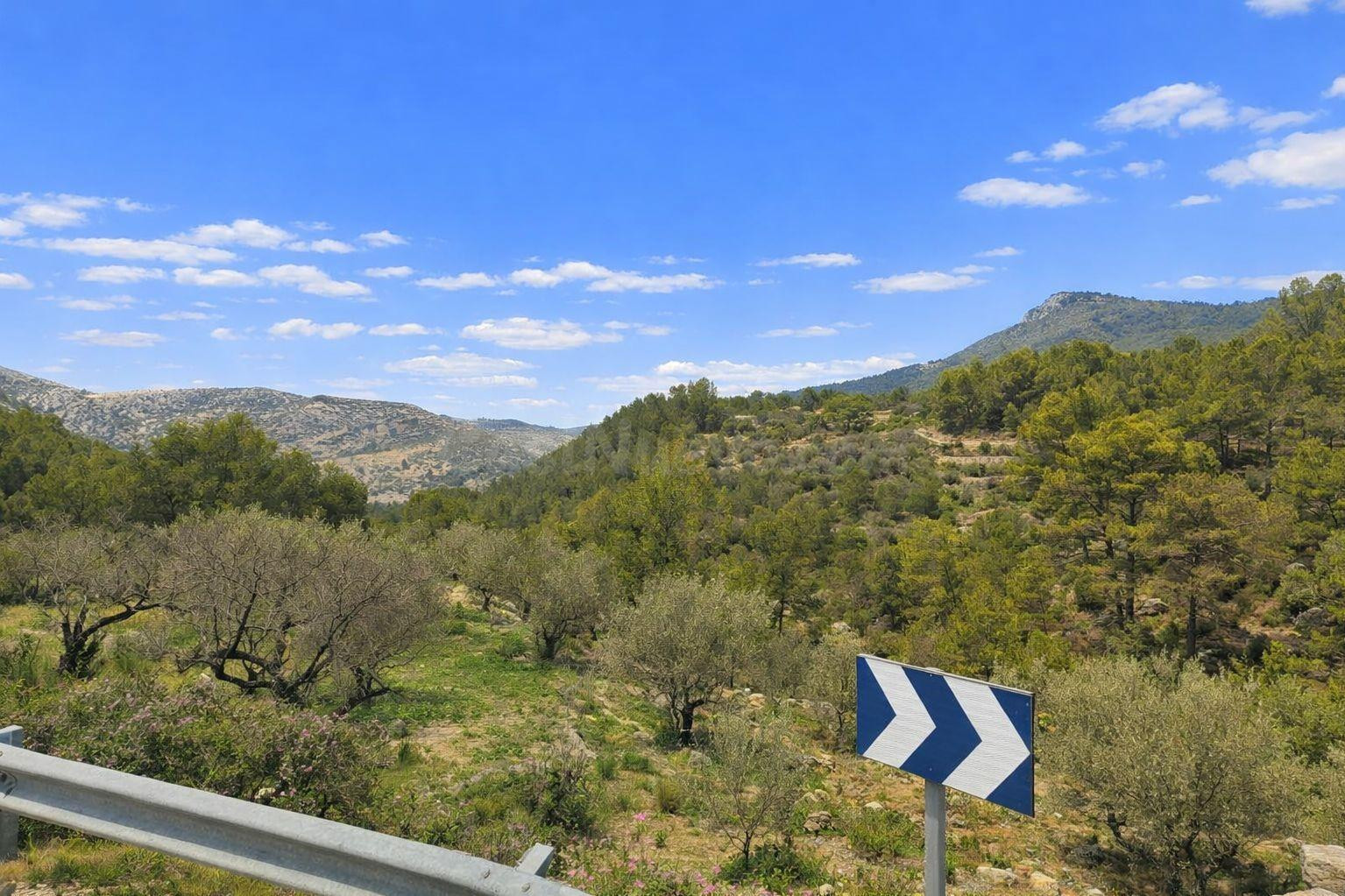 Venta de 3 parcelas rústicas en Castell de Castells - foto 5