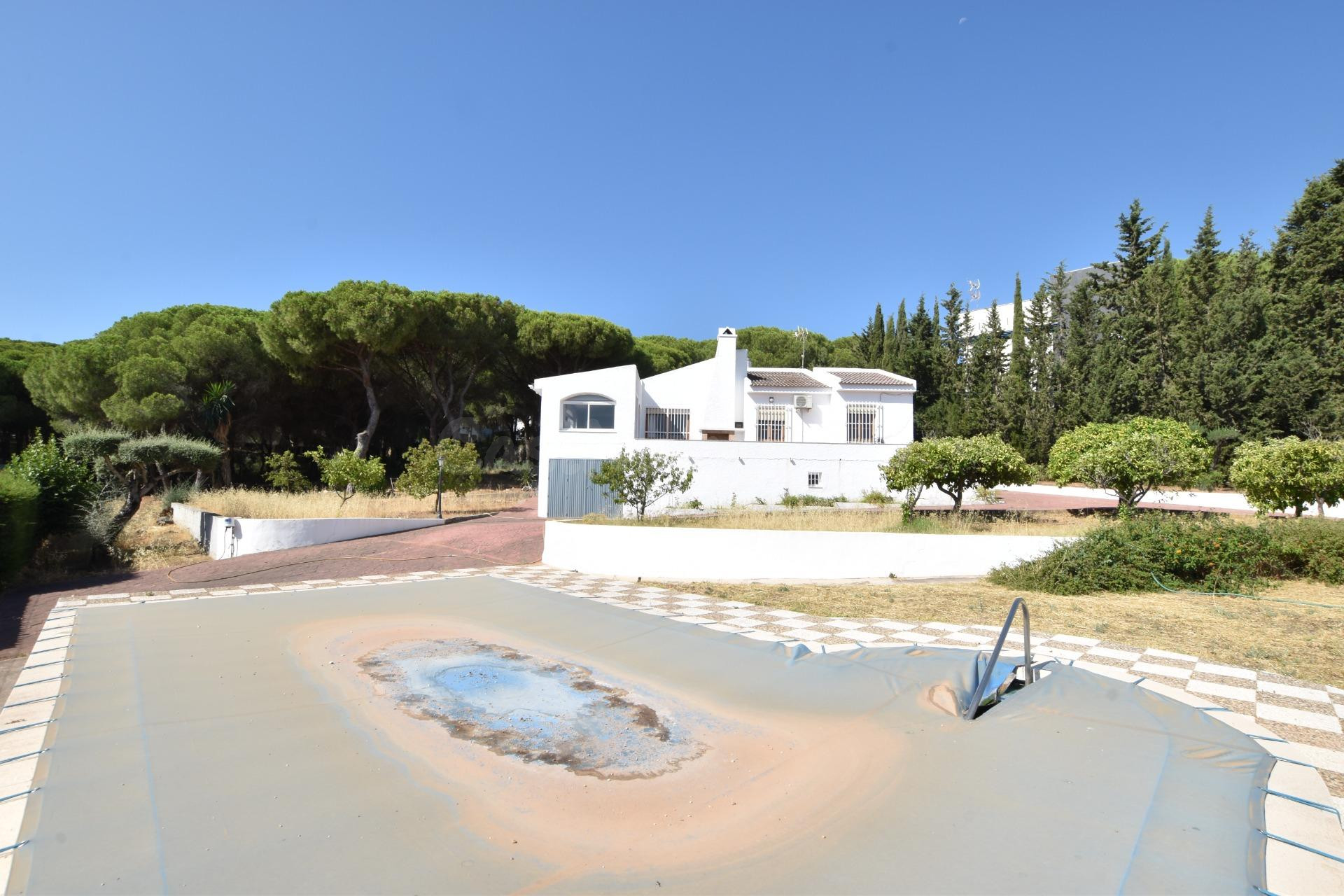 ALHAURÍN DE LA TORRE - foto 4