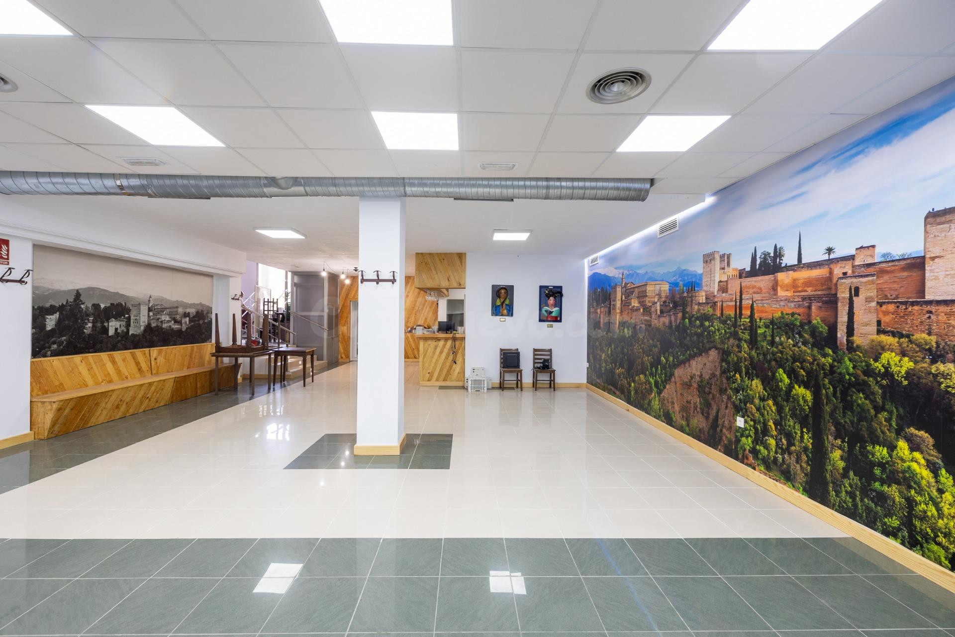 Espectacular local comercial en Nuevo Acceso a la Alhambra,  - foto 2