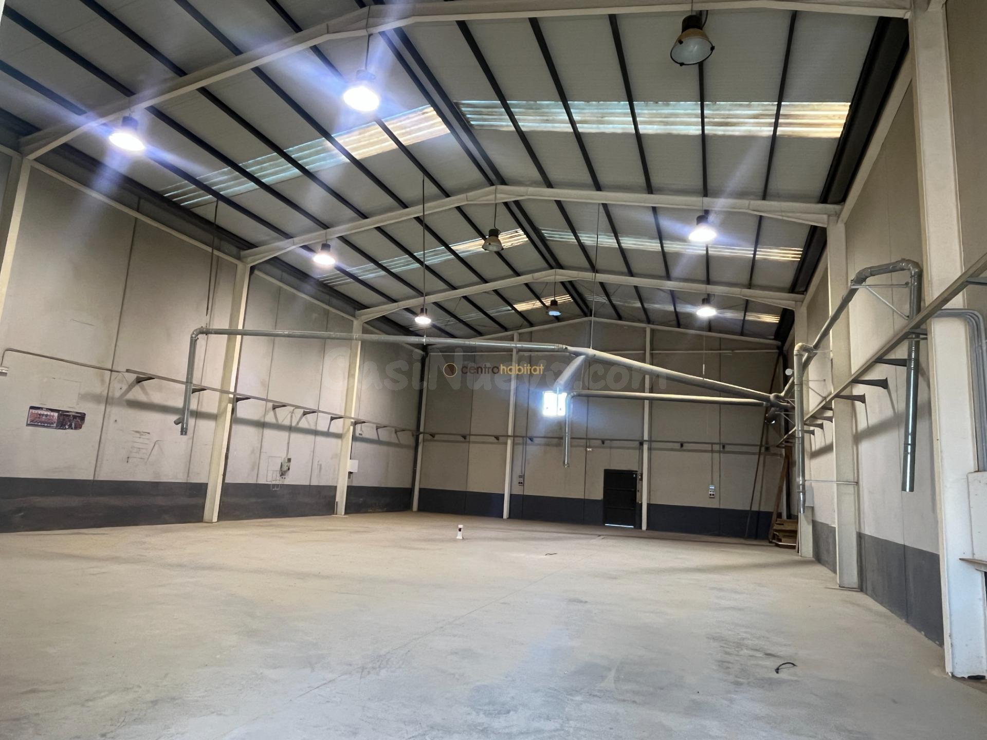 NAVE INDUSTRIAL EN FINCA LACY - foto 5