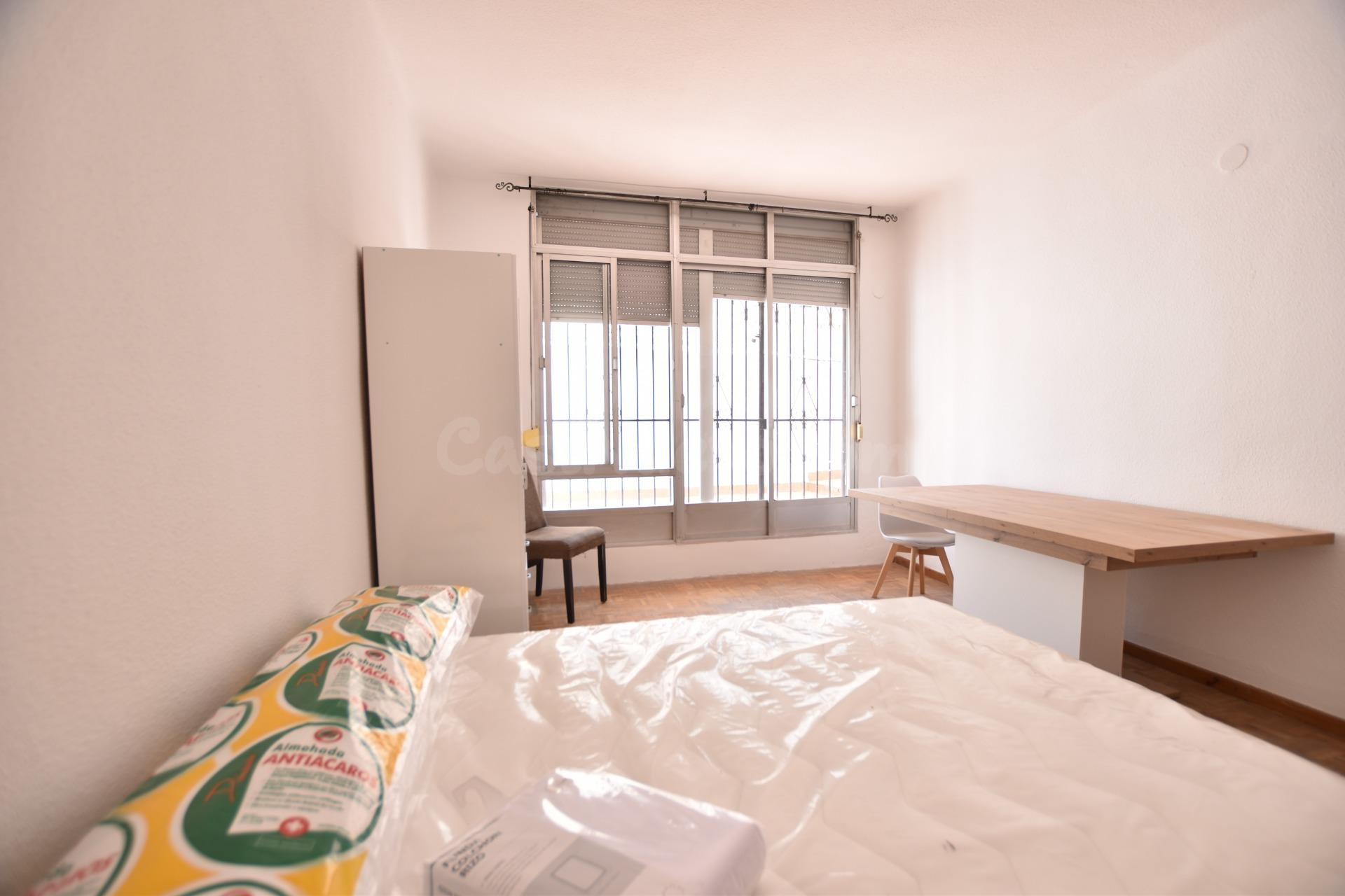 DISPONIBLE FEBRERO 2027 - CALLE ARABIAL - foto 3