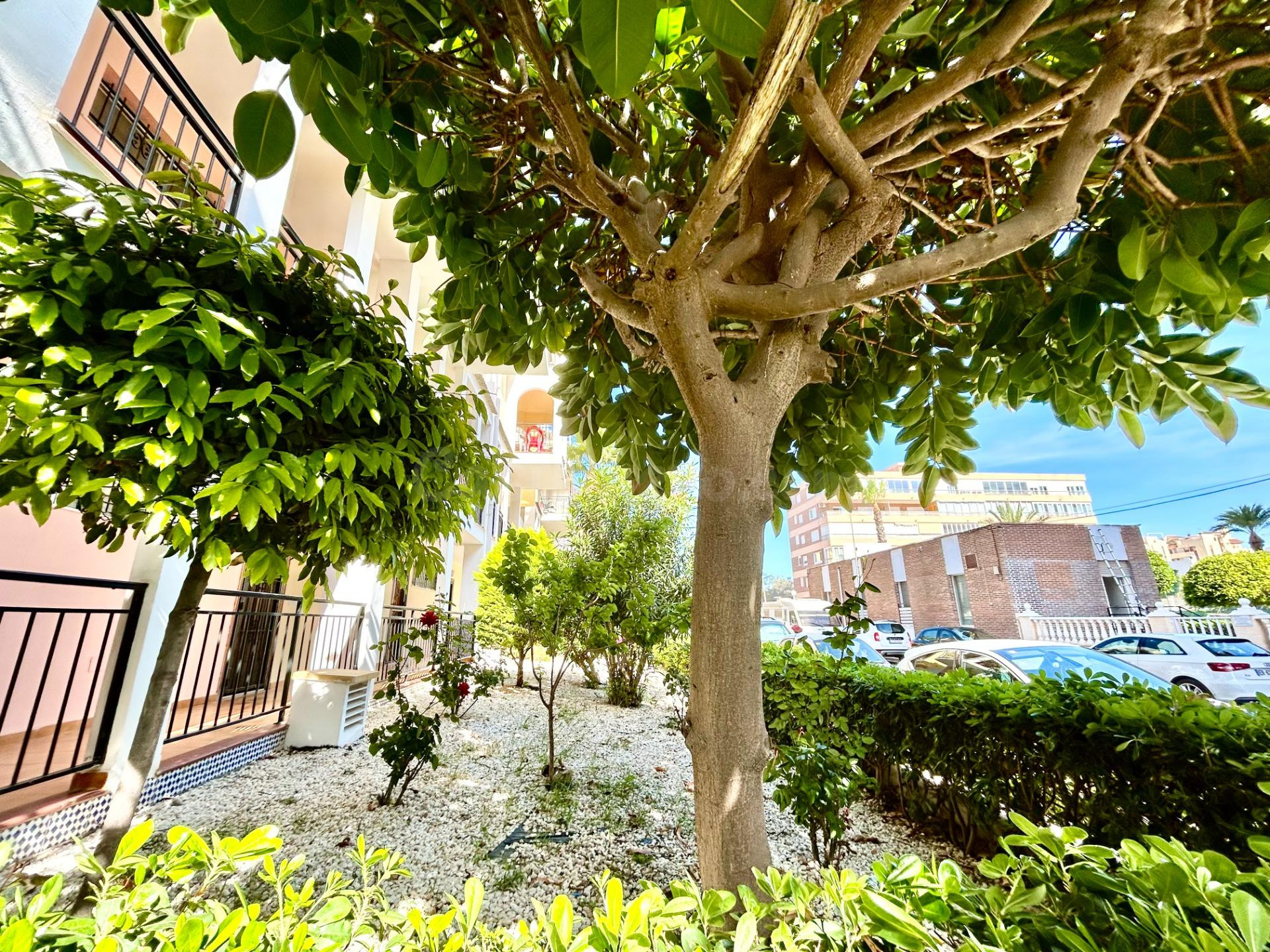Apartamento 1 habitación 41m² en venta - La Veleta - foto 2